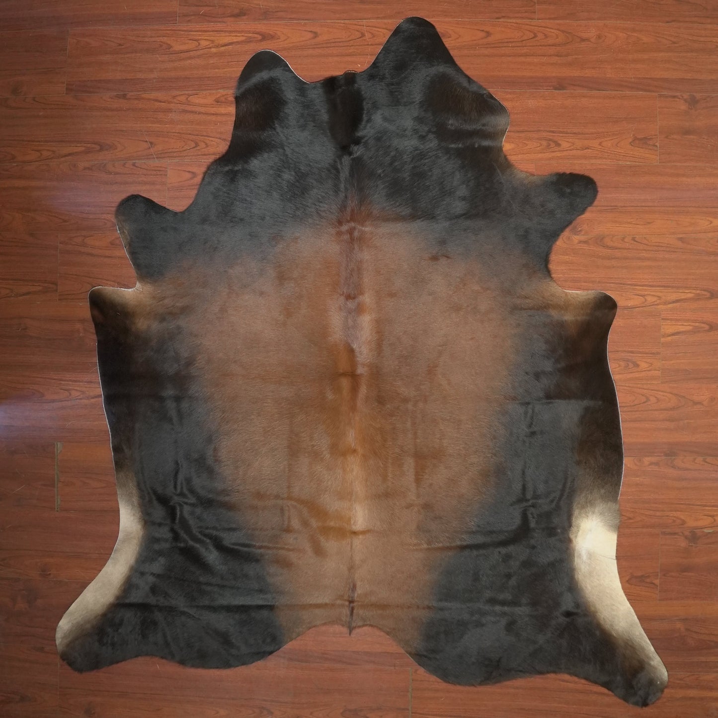 The Nguni Guy Nguni cowhide African decor Authentic cowhide Home decor Interior design Unique pattern Hand-selected Premium quality Natural beauty Exotic rug Genuine hide Statement piece Contemporary style Ethically sourced Sustainable decor Versatile accent Luxury rug Designer piece Modern aesthetic High-end craftsmanship Timeless elegance Designer home accents

