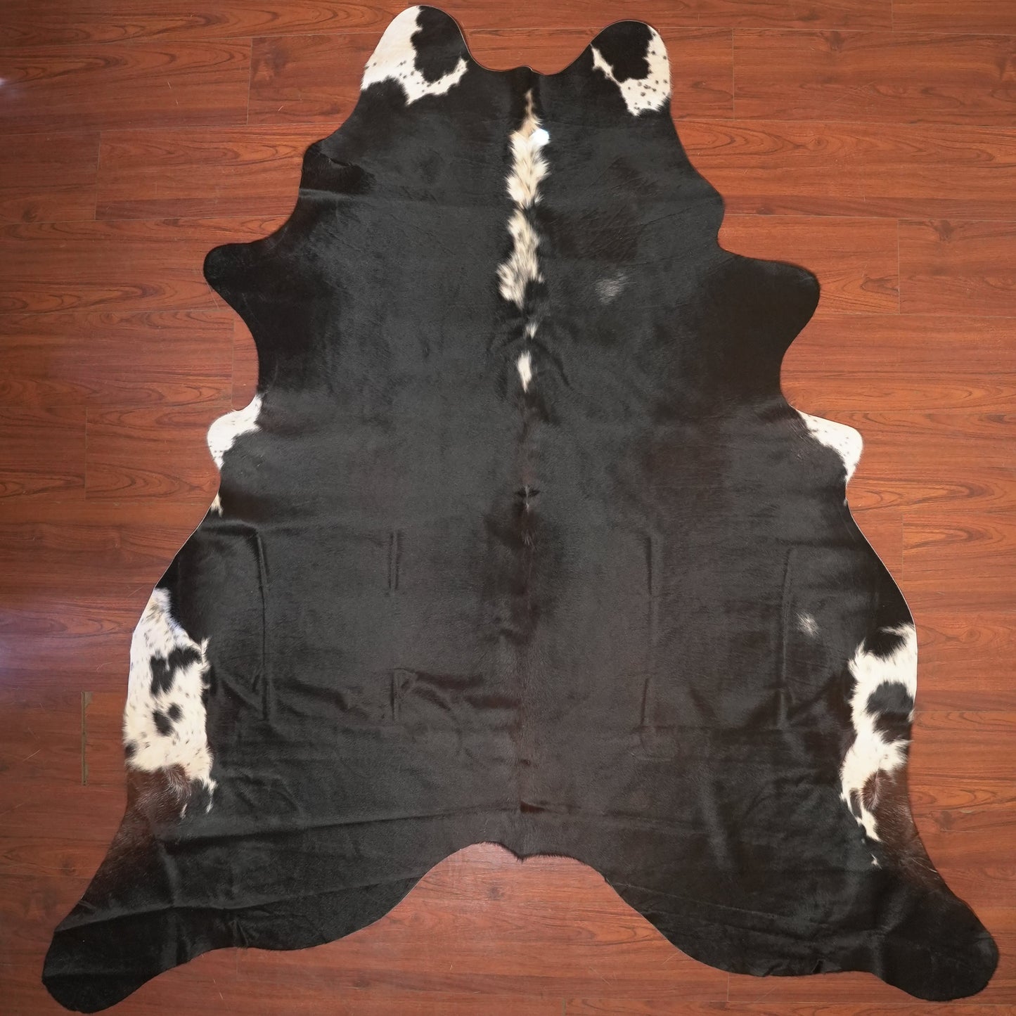 The Nguni Guy Nguni cowhide African decor Authentic cowhide Home decor Interior design Unique pattern Hand-selected Premium quality Natural beauty Exotic rug Genuine hide Statement piece Contemporary style Ethically sourced Sustainable decor Versatile accent Luxury rug Designer piece Modern aesthetic High-end craftsmanship Timeless elegance Designer home accents
