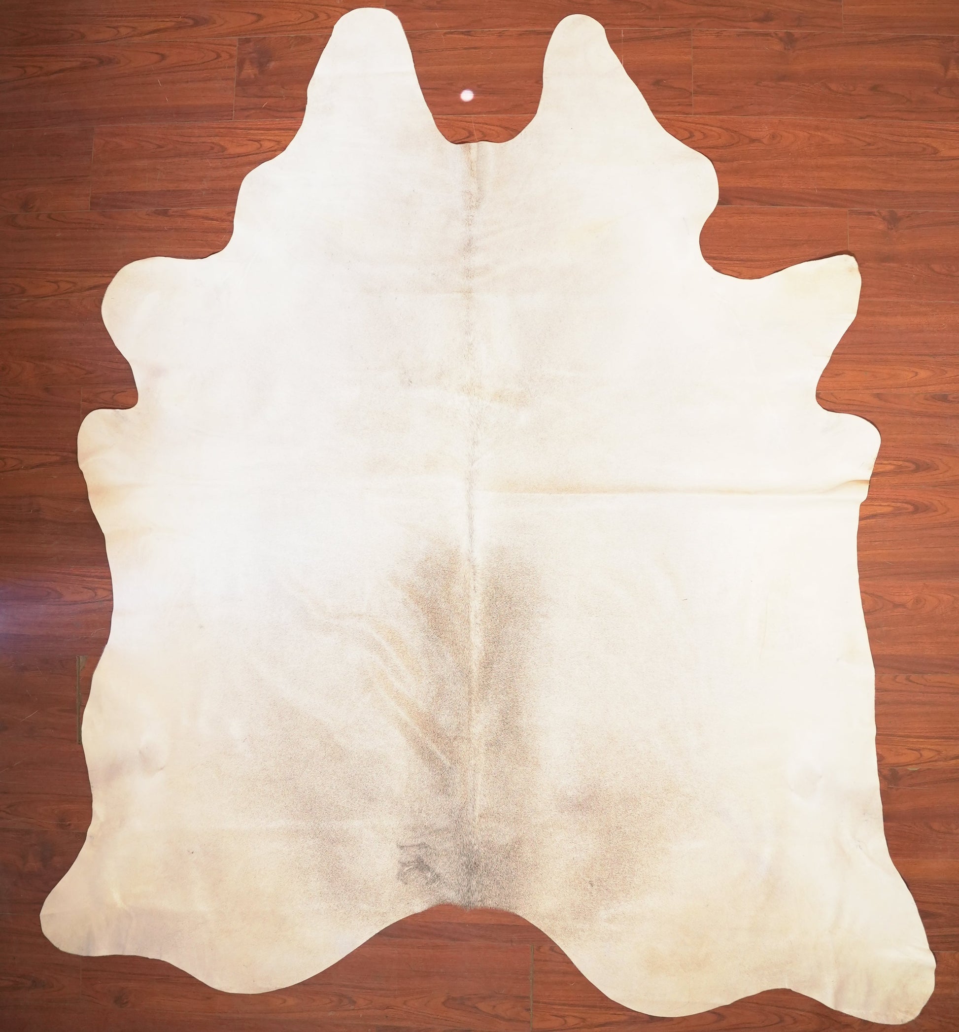 The Nguni Guy Nguni cowhide African decor Authentic cowhide Home decor Interior design Unique pattern Hand-selected Premium quality Natural beauty Exotic rug Genuine hide Statement piece Contemporary style Ethically sourced Sustainable decor Versatile accent Luxury rug Designer piece Modern aesthetic High-end craftsmanship Timeless elegance Designer home accents

