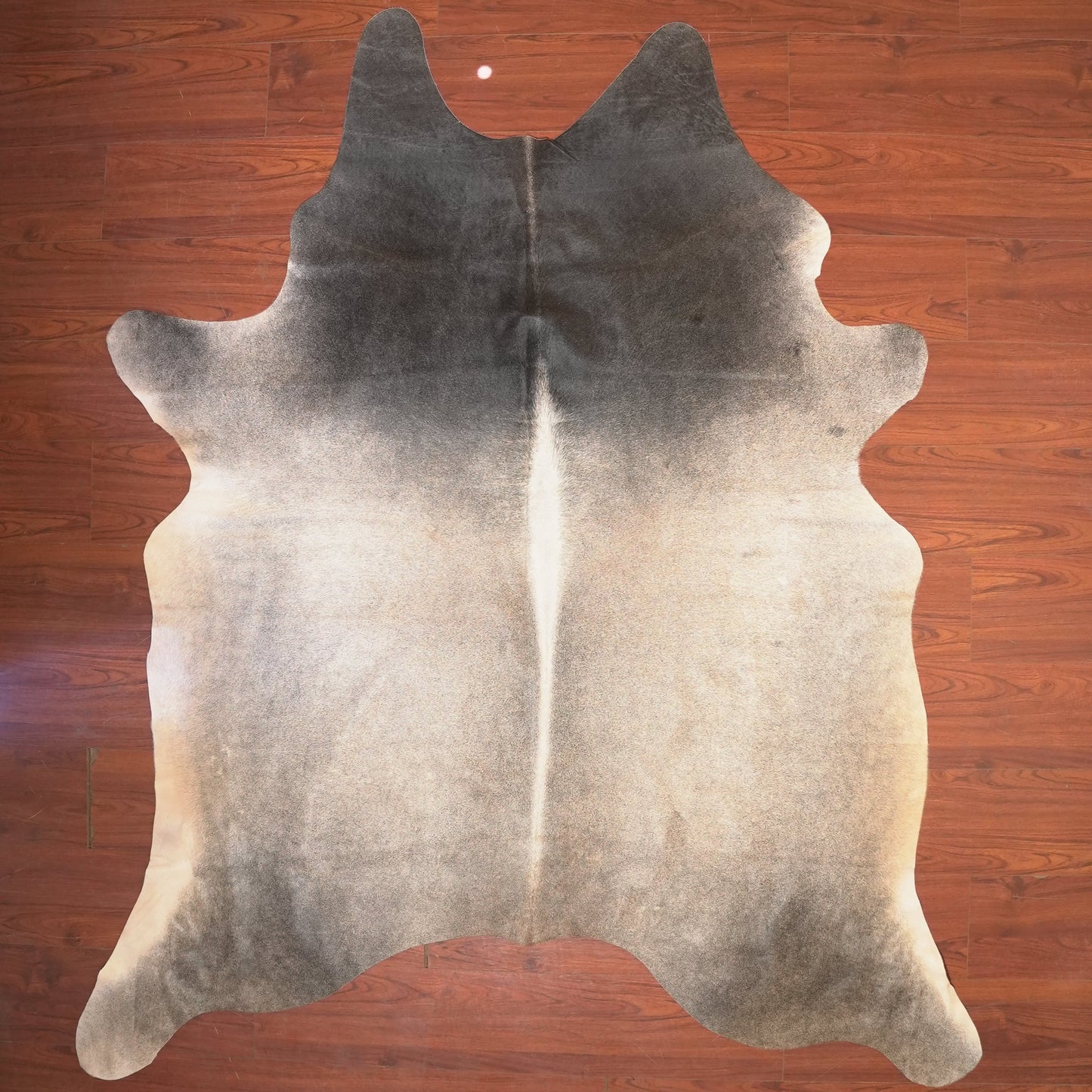 The Nguni Guy Nguni cowhide African decor Authentic cowhide Home decor Interior design Unique pattern Hand-selected Premium quality Natural beauty Exotic rug Genuine hide Statement piece Contemporary style Ethically sourced Sustainable decor Versatile accent Luxury rug Designer piece Modern aesthetic High-end craftsmanship Timeless elegance Designer home accents
