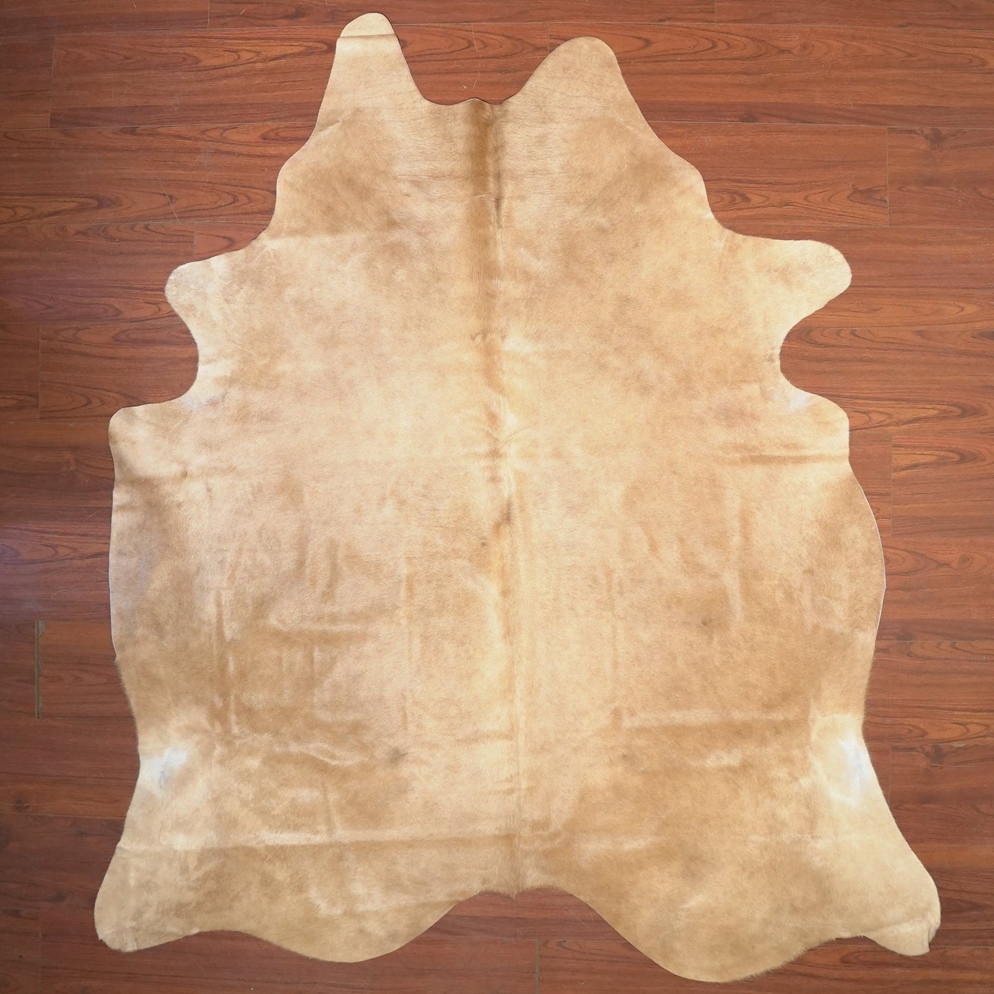 The Nguni Guy Nguni cowhide African decor Authentic cowhide Home decor Interior design Unique pattern Hand-selected Premium quality Natural beauty Exotic rug Genuine hide Statement piece Contemporary style Ethically sourced Sustainable decor Versatile accent Luxury rug Designer piece Modern aesthetic High-end craftsmanship Timeless elegance Designer home accents