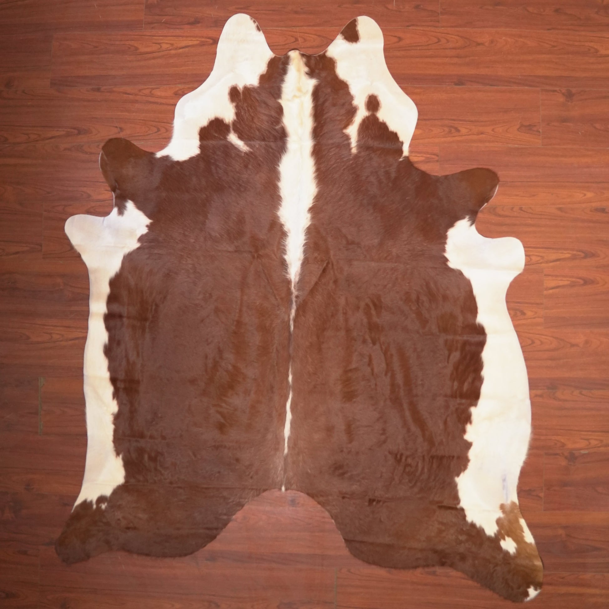 The Nguni Guy Nguni cowhide African decor Authentic cowhide Home decor Interior design Unique pattern Hand-selected Premium quality Natural beauty Exotic rug Genuine hide Statement piece Contemporary style Ethically sourced Sustainable decor Versatile accent Luxury rug Designer piece Modern aesthetic High-end craftsmanship Timeless elegance Designer home accents

