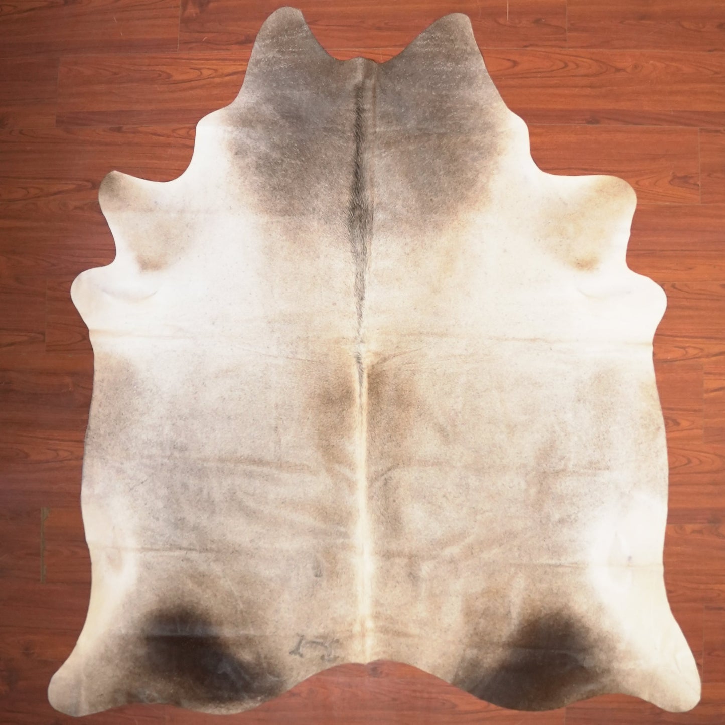 The Nguni Guy Nguni cowhide African decor Authentic cowhide Home decor Interior design Unique pattern Hand-selected Premium quality Natural beauty Exotic rug Genuine hide Statement piece Contemporary style Ethically sourced Sustainable decor Versatile accent Luxury rug Designer piece Modern aesthetic High-end craftsmanship Timeless elegance Designer home accents
