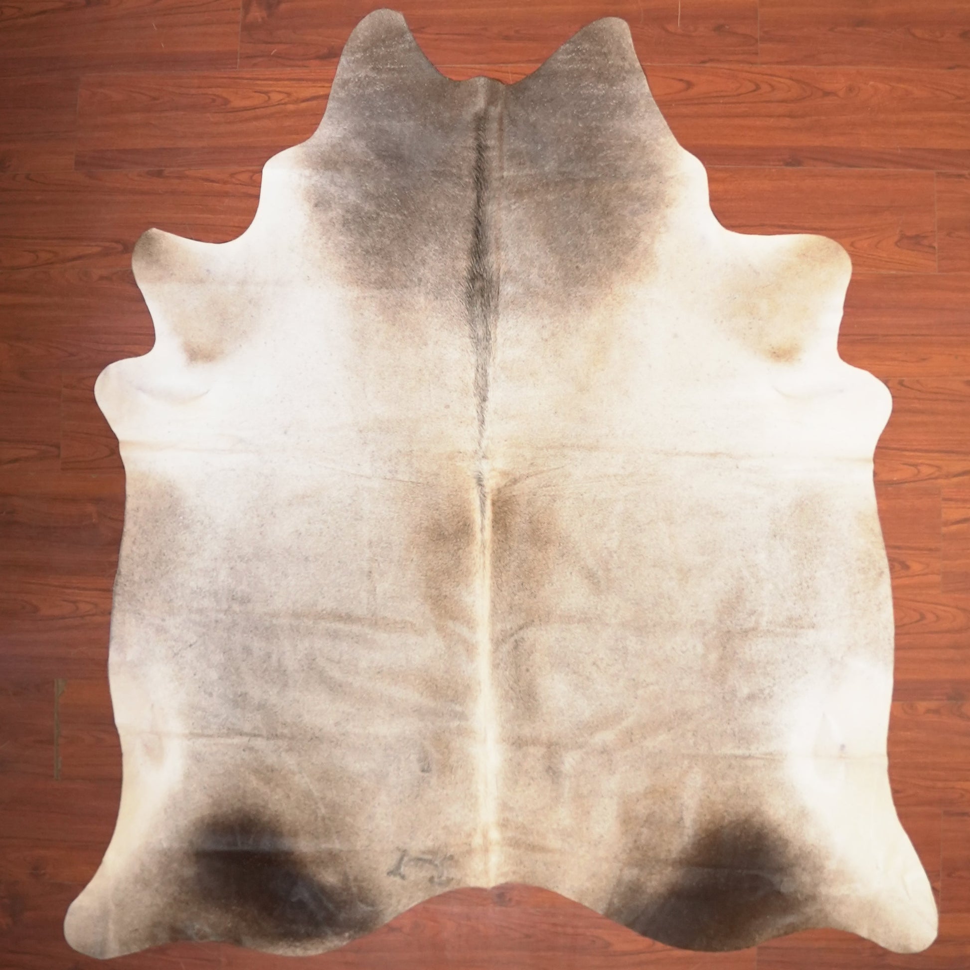 The Nguni Guy Nguni cowhide African decor Authentic cowhide Home decor Interior design Unique pattern Hand-selected Premium quality Natural beauty Exotic rug Genuine hide Statement piece Contemporary style Ethically sourced Sustainable decor Versatile accent Luxury rug Designer piece Modern aesthetic High-end craftsmanship Timeless elegance Designer home accents

