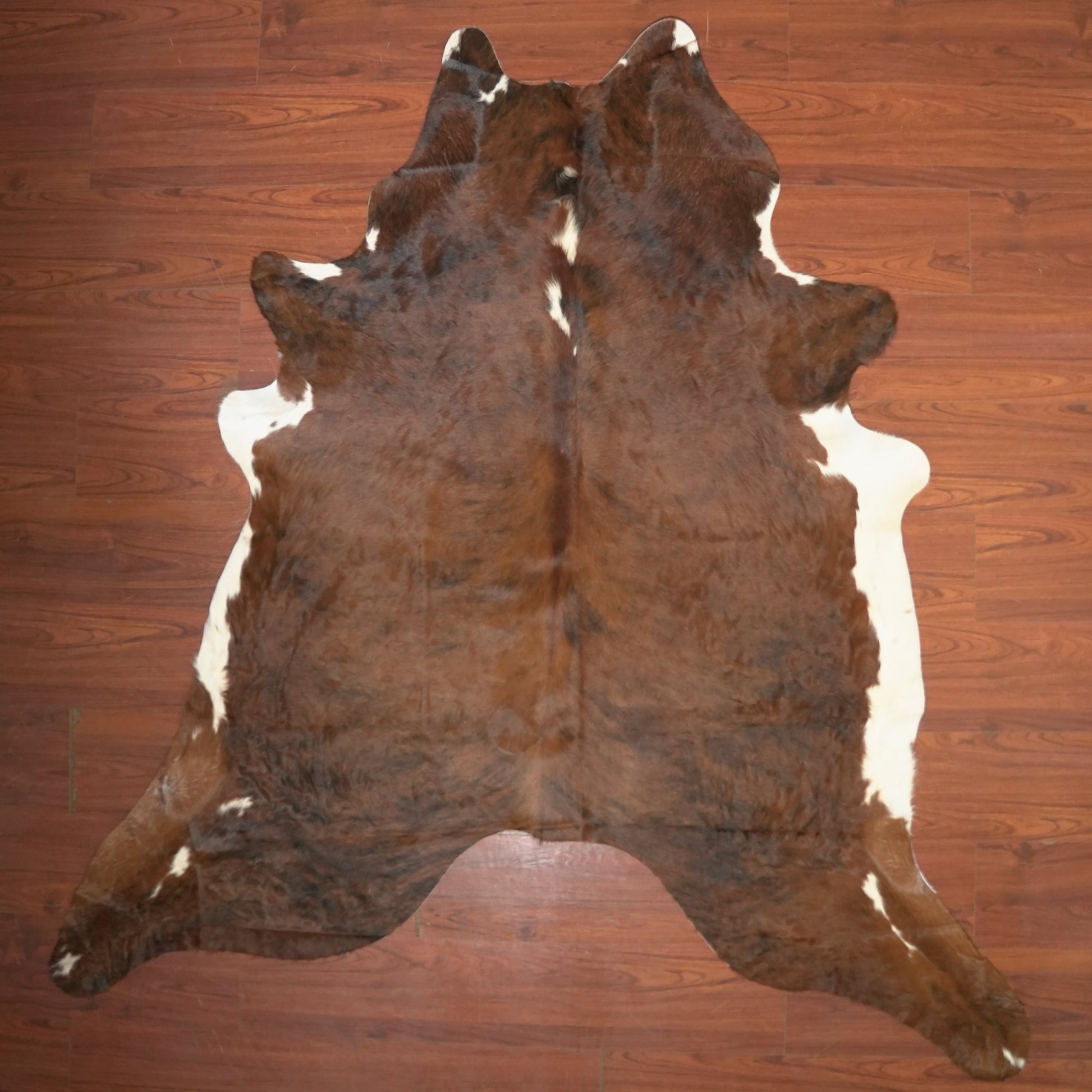 The Nguni Guy Nguni cowhide African decor Authentic cowhide Home decor Interior design Unique pattern Hand-selected Premium quality Natural beauty Exotic rug Genuine hide Statement piece Contemporary style Ethically sourced Sustainable decor Versatile accent Luxury rug Designer piece Modern aesthetic High-end craftsmanship Timeless elegance Designer home accents
