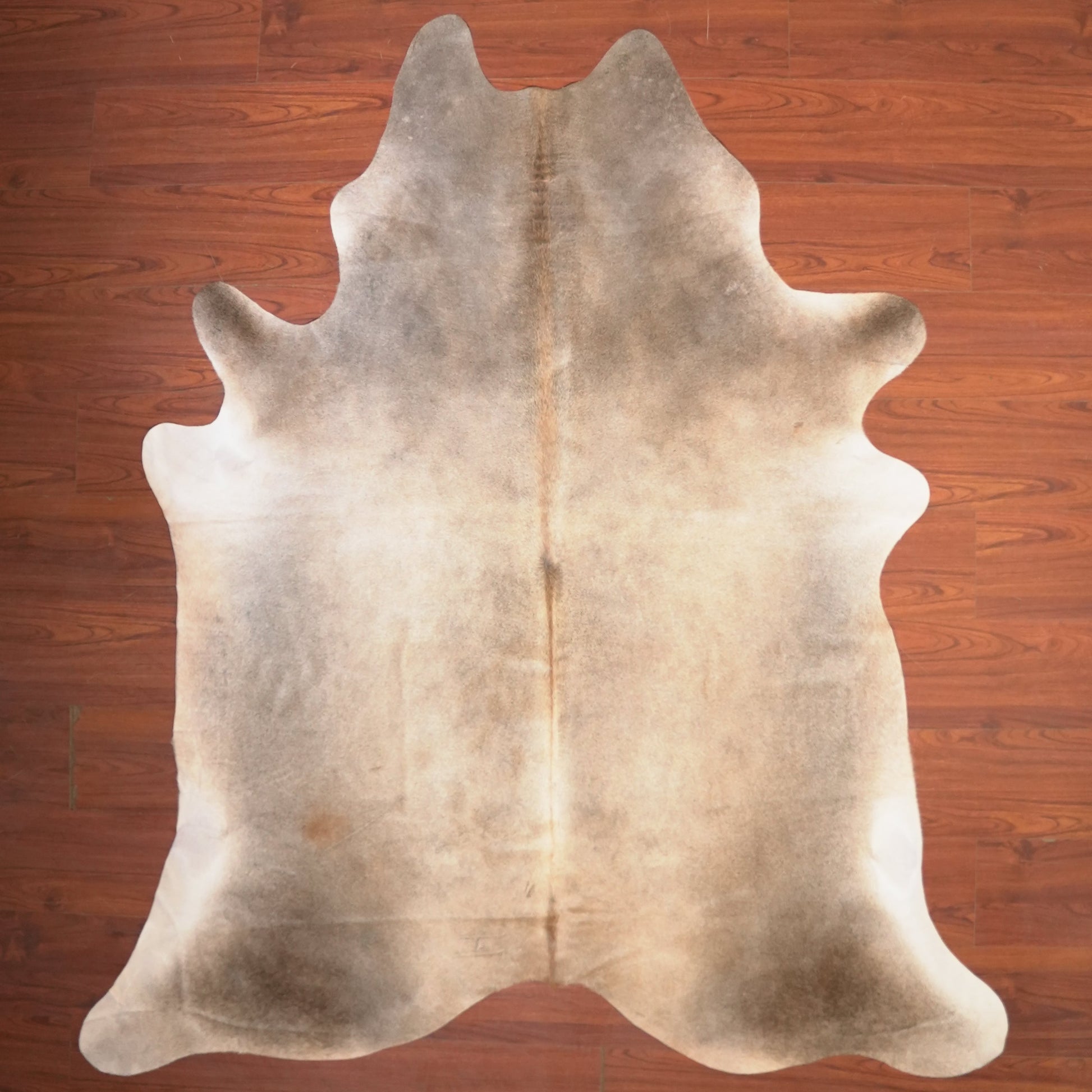 The Nguni Guy Nguni cowhide African decor Authentic cowhide Home decor Interior design Unique pattern Hand-selected Premium quality Natural beauty Exotic rug Genuine hide Statement piece Contemporary style Ethically sourced Sustainable decor Versatile accent Luxury rug Designer piece Modern aesthetic High-end craftsmanship Timeless elegance Designer home accents
