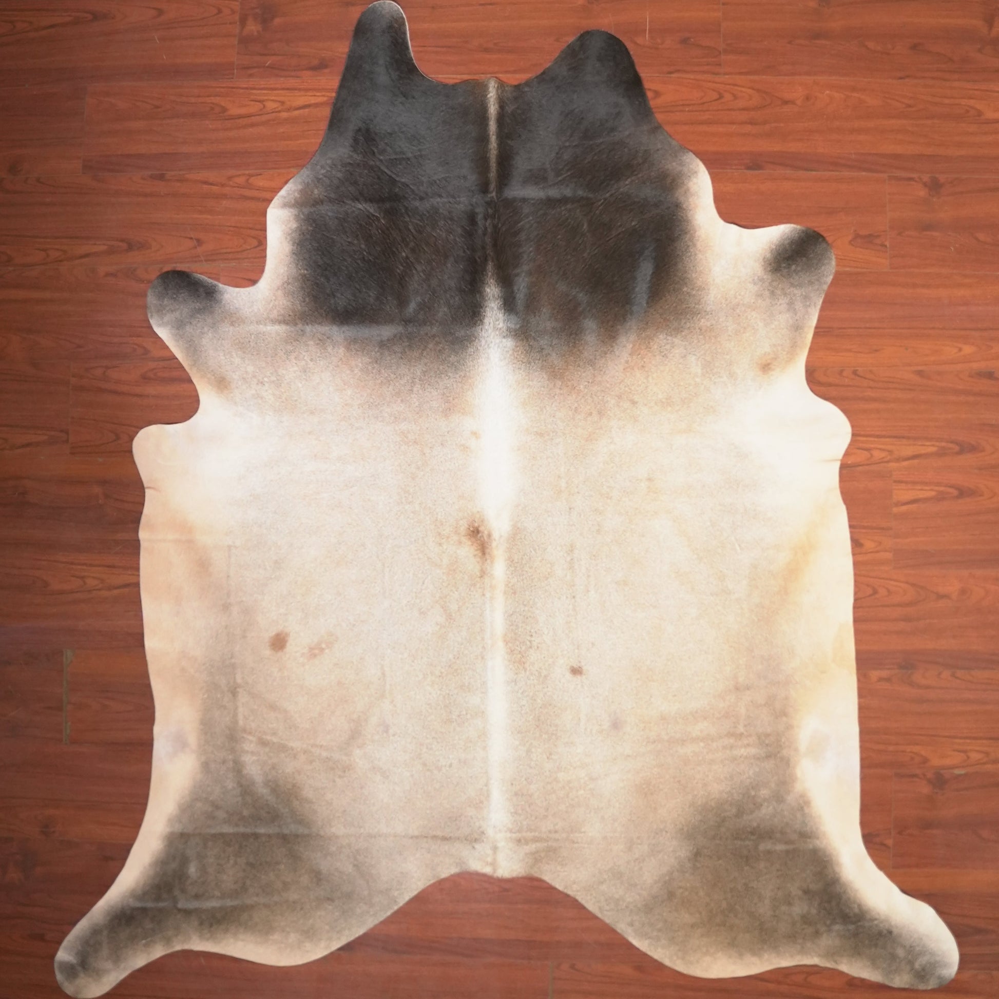 The Nguni Guy Nguni cowhide African decor Authentic cowhide Home decor Interior design Unique pattern Hand-selected Premium quality Natural beauty Exotic rug Genuine hide Statement piece Contemporary style Ethically sourced Sustainable decor Versatile accent Luxury rug Designer piece Modern aesthetic High-end craftsmanship Timeless elegance Designer home accents
