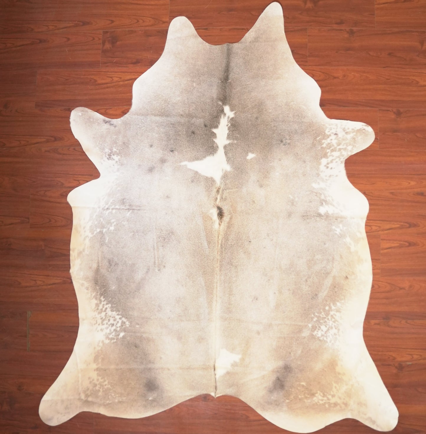 The Nguni Guy Nguni cowhide African decor Authentic cowhide Home decor Interior design Unique pattern Hand-selected Premium quality Natural beauty Exotic rug Genuine hide Statement piece Contemporary style Ethically sourced Sustainable decor Versatile accent Luxury rug Designer piece Modern aesthetic High-end craftsmanship Timeless elegance Designer home accents
