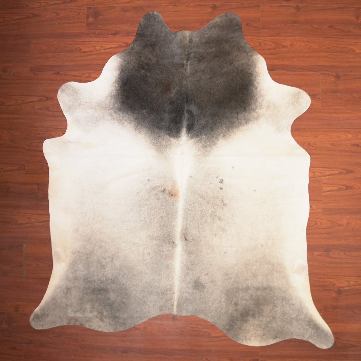 The Nguni Guy Nguni cowhide African decor Authentic cowhide Home decor Interior design Unique pattern Hand-selected Premium quality Natural beauty Exotic rug Genuine hide Statement piece Contemporary style Ethically sourced Sustainable decor Versatile accent Luxury rug Designer piece Modern aesthetic High-end craftsmanship Timeless elegance Designer home accents
