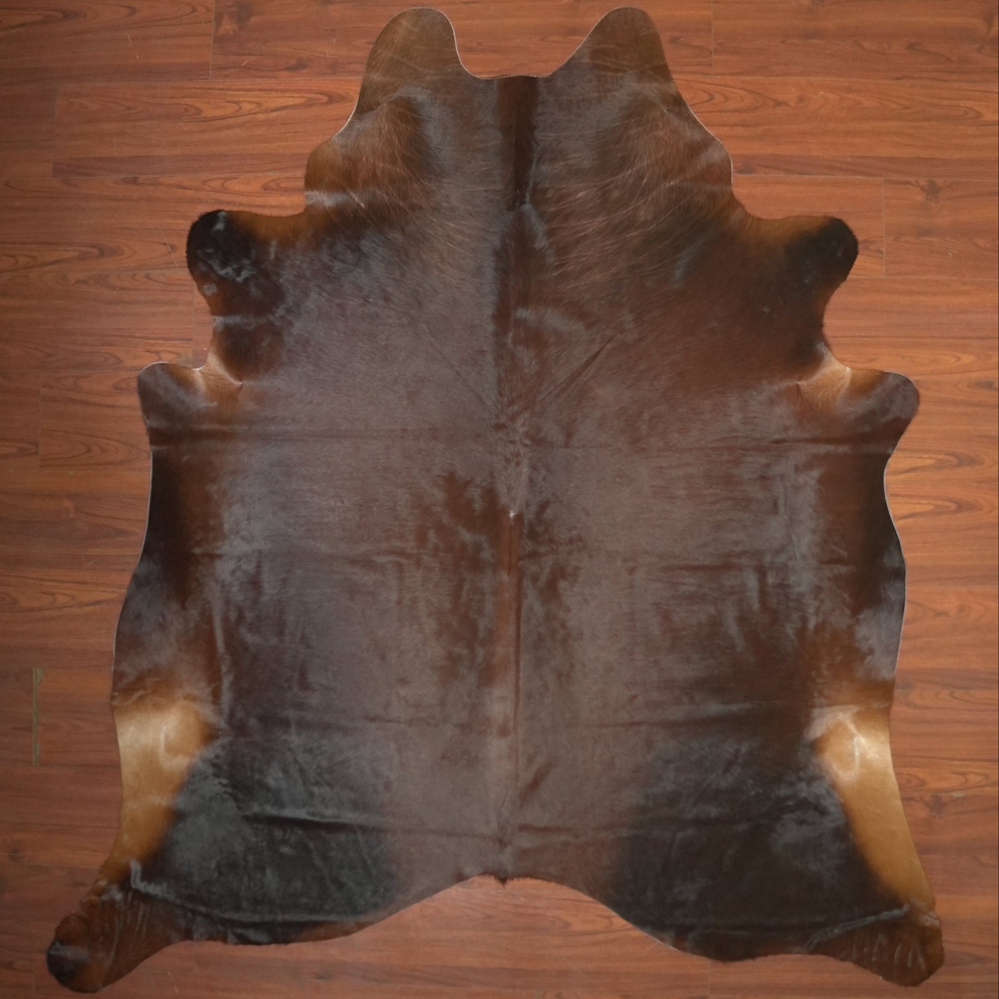 The Nguni Guy Nguni cowhide African decor Authentic cowhide Home decor Interior design Unique pattern Hand-selected Premium quality Natural beauty Exotic rug Genuine hide Statement piece Contemporary style Ethically sourced Sustainable decor Versatile accent Luxury rug Designer piece Modern aesthetic High-end craftsmanship Timeless elegance Designer home accents
