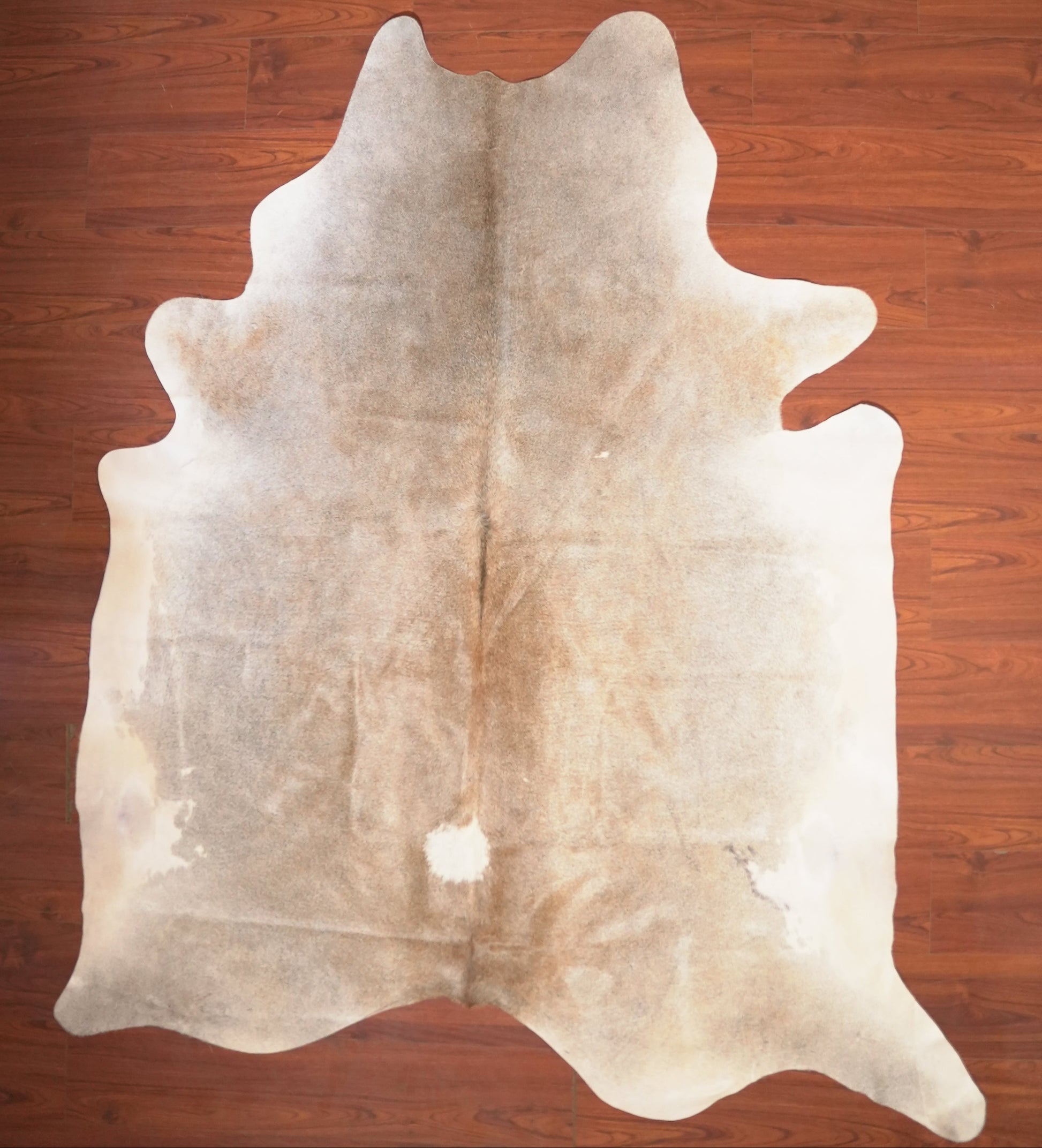 The Nguni Guy Nguni cowhide African decor Authentic cowhide Home decor Interior design Unique pattern Hand-selected Premium quality Natural beauty Exotic rug Genuine hide Statement piece Contemporary style Ethically sourced Sustainable decor Versatile accent Luxury rug Designer piece Modern aesthetic High-end craftsmanship Timeless elegance Designer home accents
