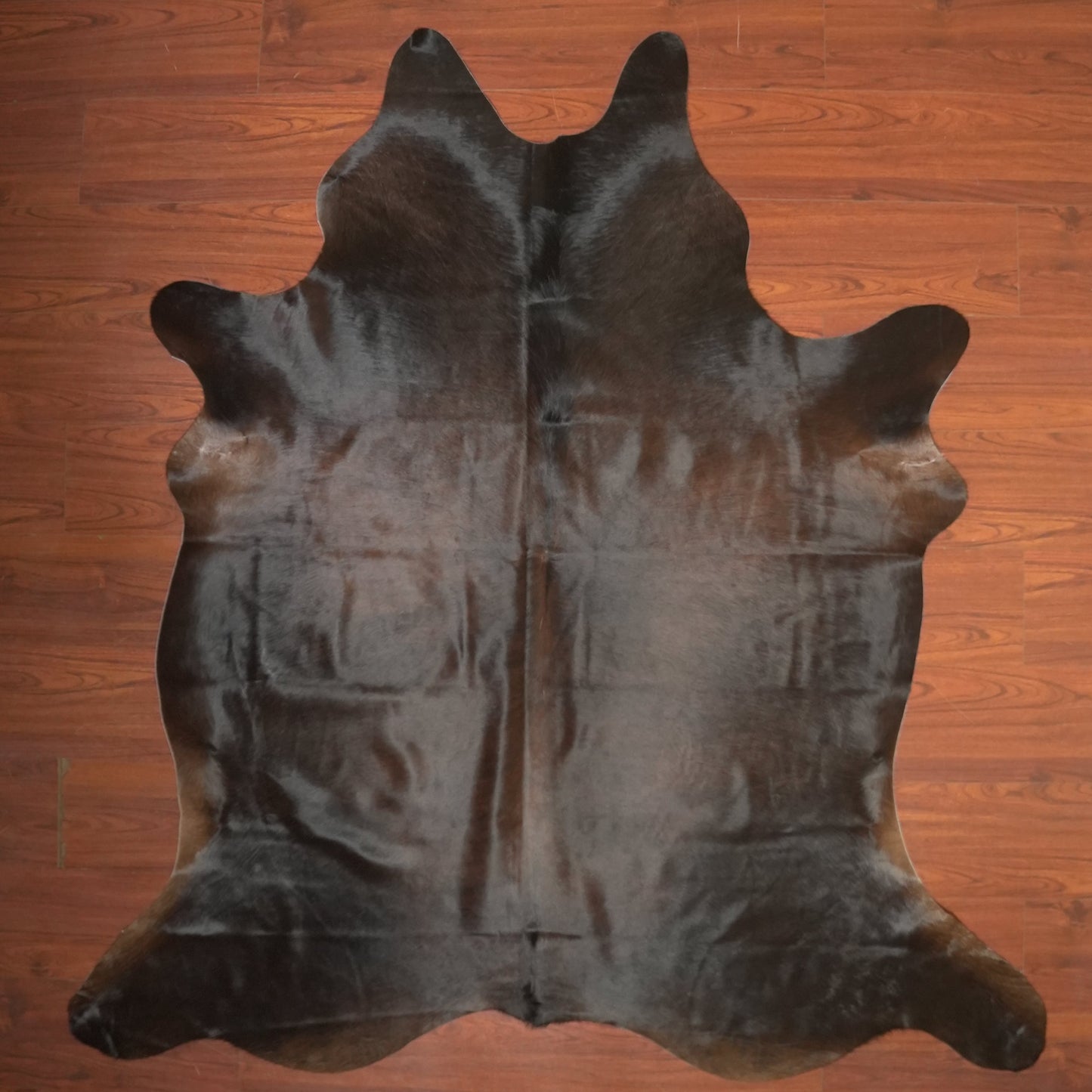 The Nguni Guy Nguni cowhide African decor Authentic cowhide Home decor Interior design Unique pattern Hand-selected Premium quality Natural beauty Exotic rug Genuine hide Statement piece Contemporary style Ethically sourced Sustainable decor Versatile accent Luxury rug Designer piece Modern aesthetic High-end craftsmanship Timeless elegance Designer home accents
