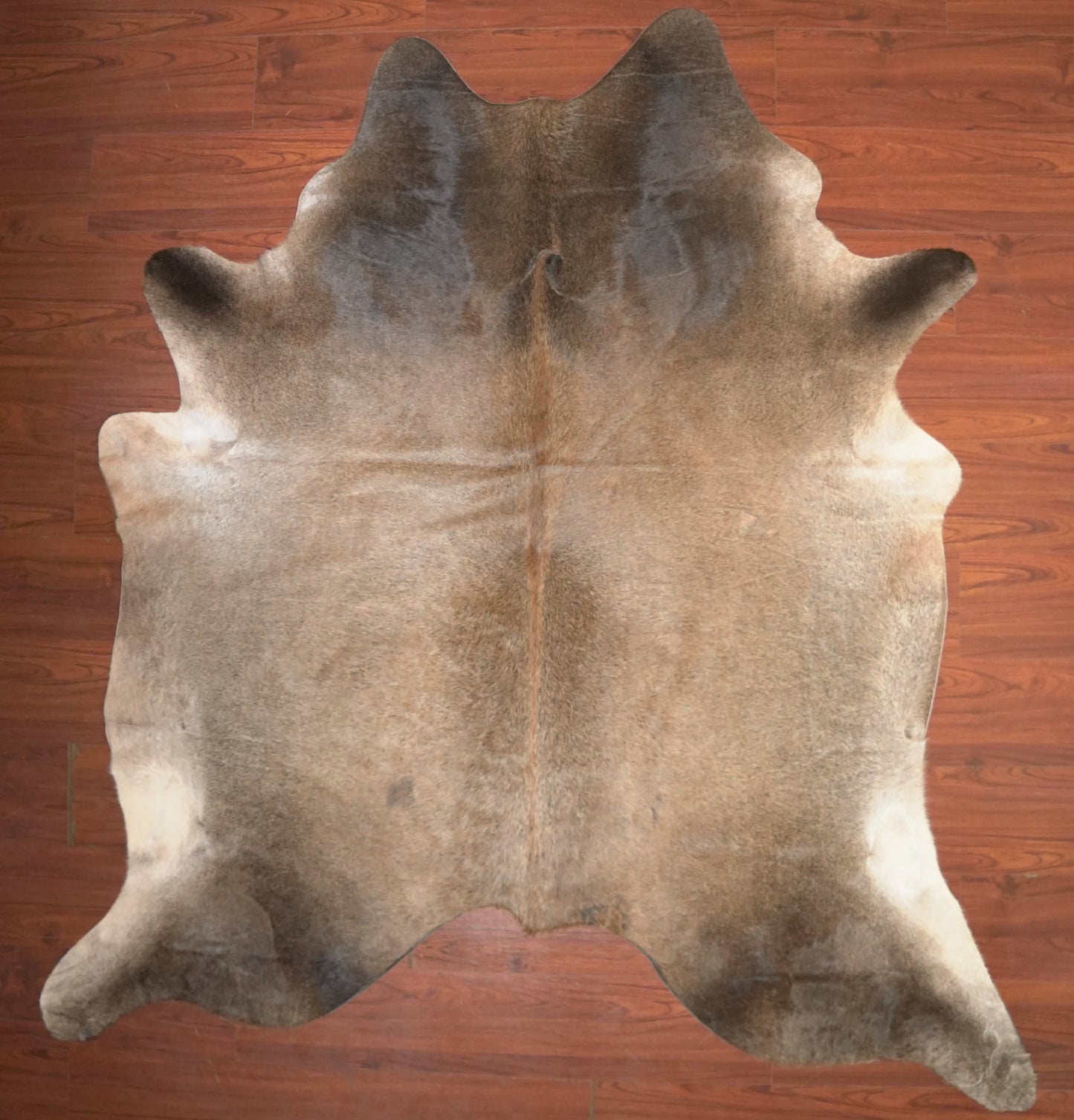 The Nguni Guy Nguni cowhide African decor Authentic cowhide Home decor Interior design Unique pattern Hand-selected Premium quality Natural beauty Exotic rug Genuine hide Statement piece Contemporary style Ethically sourced Sustainable decor Versatile accent Luxury rug Designer piece Modern aesthetic High-end craftsmanship Timeless elegance Designer home accents
