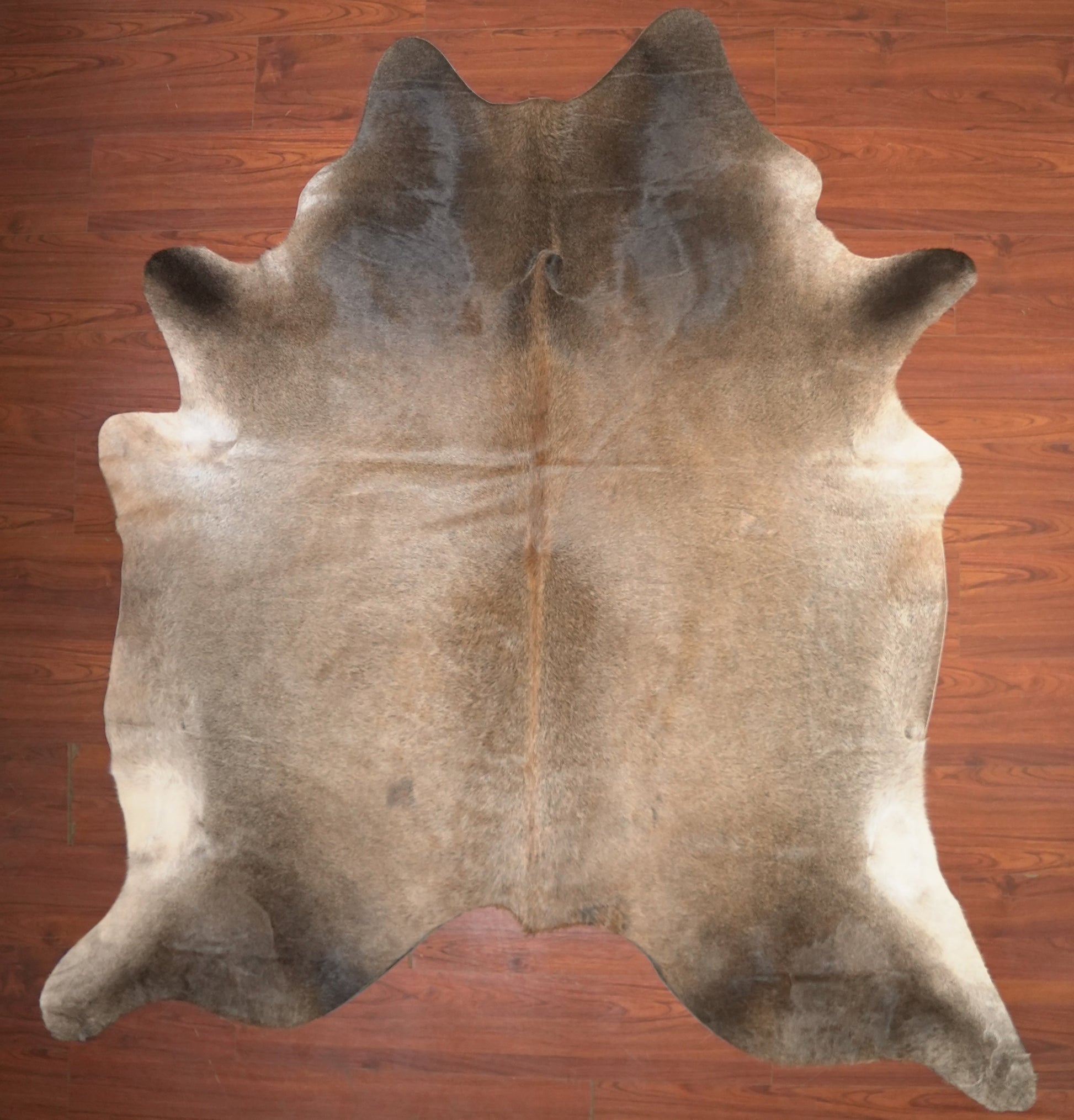 The Nguni Guy Nguni cowhide African decor Authentic cowhide Home decor Interior design Unique pattern Hand-selected Premium quality Natural beauty Exotic rug Genuine hide Statement piece Contemporary style Ethically sourced Sustainable decor Versatile accent Luxury rug Designer piece Modern aesthetic High-end craftsmanship Timeless elegance Designer home accents
