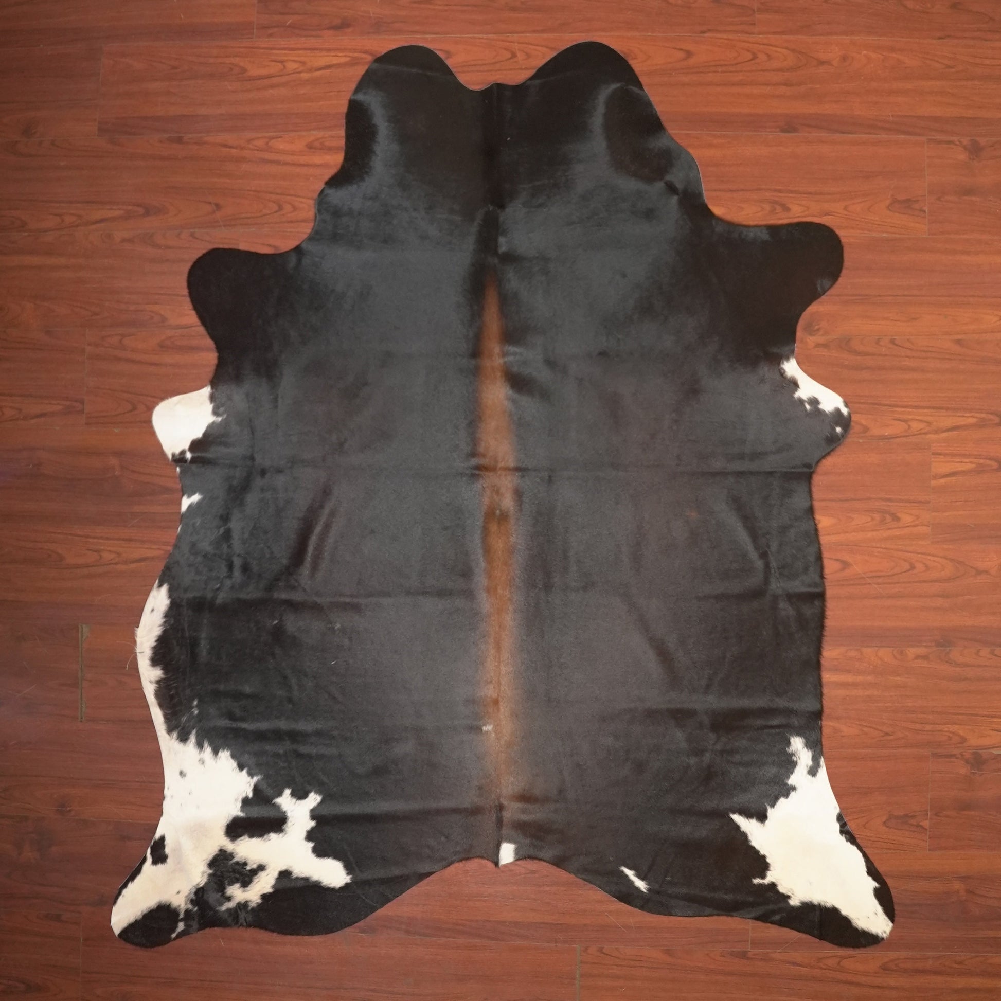 The Nguni Guy Nguni cowhide African decor Authentic cowhide Home decor Interior design Unique pattern Hand-selected Premium quality Natural beauty Exotic rug Genuine hide Statement piece Contemporary style Ethically sourced Sustainable decor Versatile accent Luxury rug Designer piece Modern aesthetic High-end craftsmanship Timeless elegance Designer home accents
