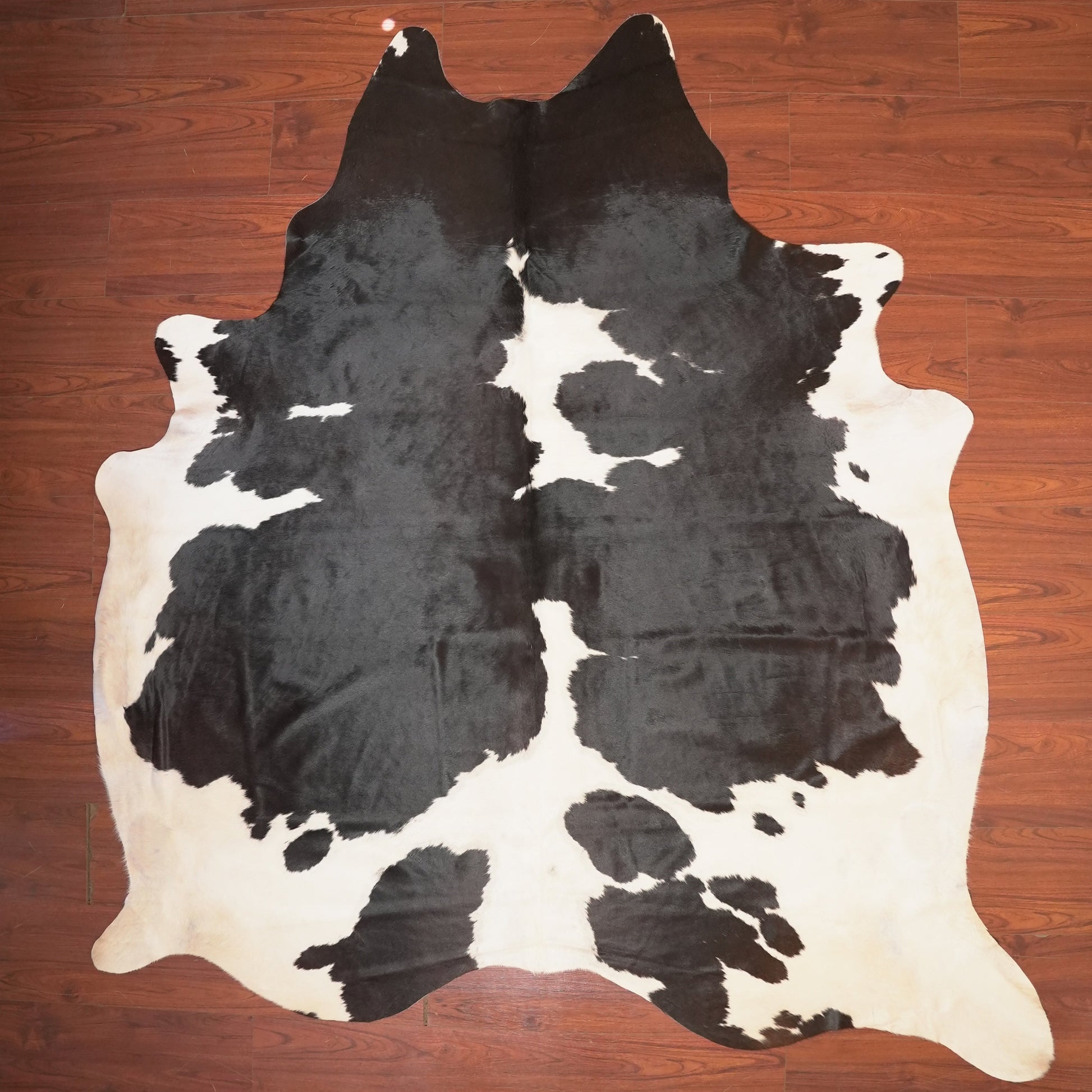The Nguni Guy Nguni cowhide African decor Authentic cowhide Home decor Interior design Unique pattern Hand-selected Premium quality Natural beauty Exotic rug Genuine hide Statement piece Contemporary style Ethically sourced Sustainable decor Versatile accent Luxury rug Designer piece Modern aesthetic High-end craftsmanship Timeless elegance Designer home accents
