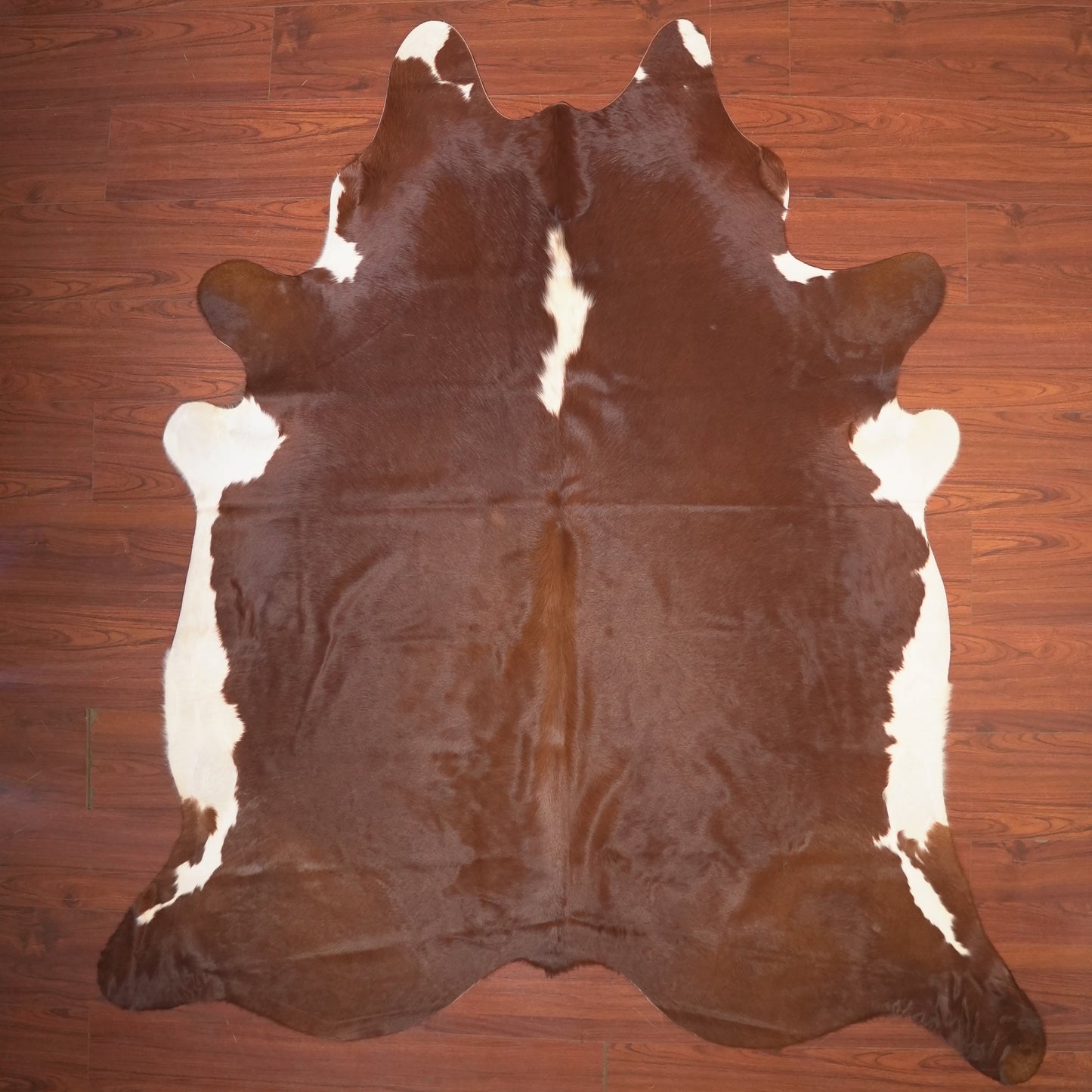 The Nguni Guy Nguni cowhide African decor Authentic cowhide Home decor Interior design Unique pattern Hand-selected Premium quality Natural beauty Exotic rug Genuine hide Statement piece Contemporary style Ethically sourced Sustainable decor Versatile accent Luxury rug Designer piece Modern aesthetic High-end craftsmanship Timeless elegance Designer home accents
