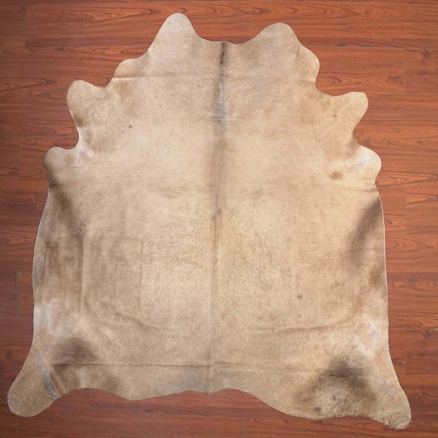 The Nguni Guy Nguni cowhide African decor Authentic cowhide Home decor Interior design Unique pattern Hand-selected Premium quality Natural beauty Exotic rug Genuine hide Statement piece Contemporary style Ethically sourced Sustainable decor Versatile accent Luxury rug Designer piece Modern aesthetic High-end craftsmanship Timeless elegance Designer home accents
