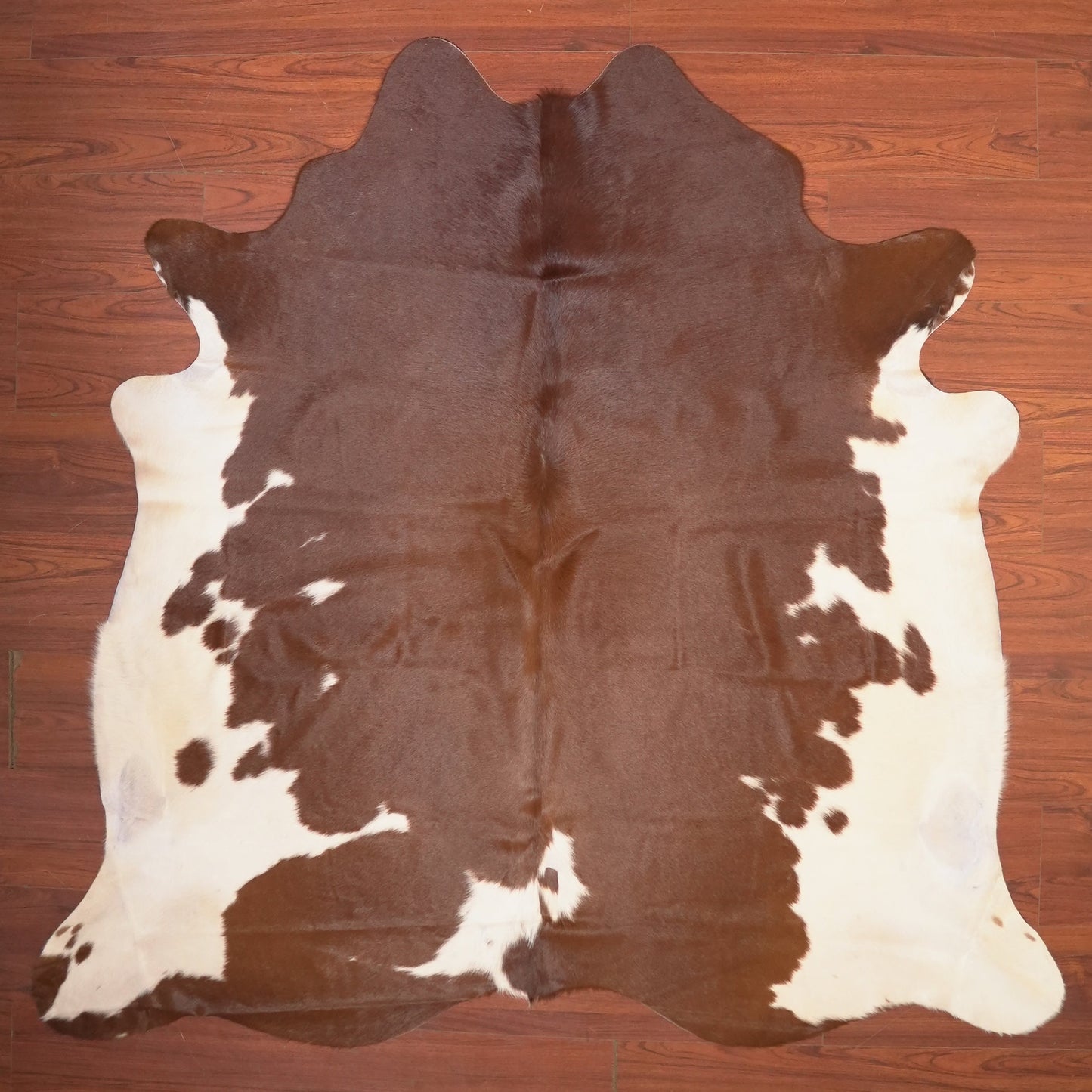 The Nguni Guy Nguni cowhide African decor Authentic cowhide Home decor Interior design Unique pattern Hand-selected Premium quality Natural beauty Exotic rug Genuine hide Statement piece Contemporary style Ethically sourced Sustainable decor Versatile accent Luxury rug Designer piece Modern aesthetic High-end craftsmanship Timeless elegance Designer home accents
