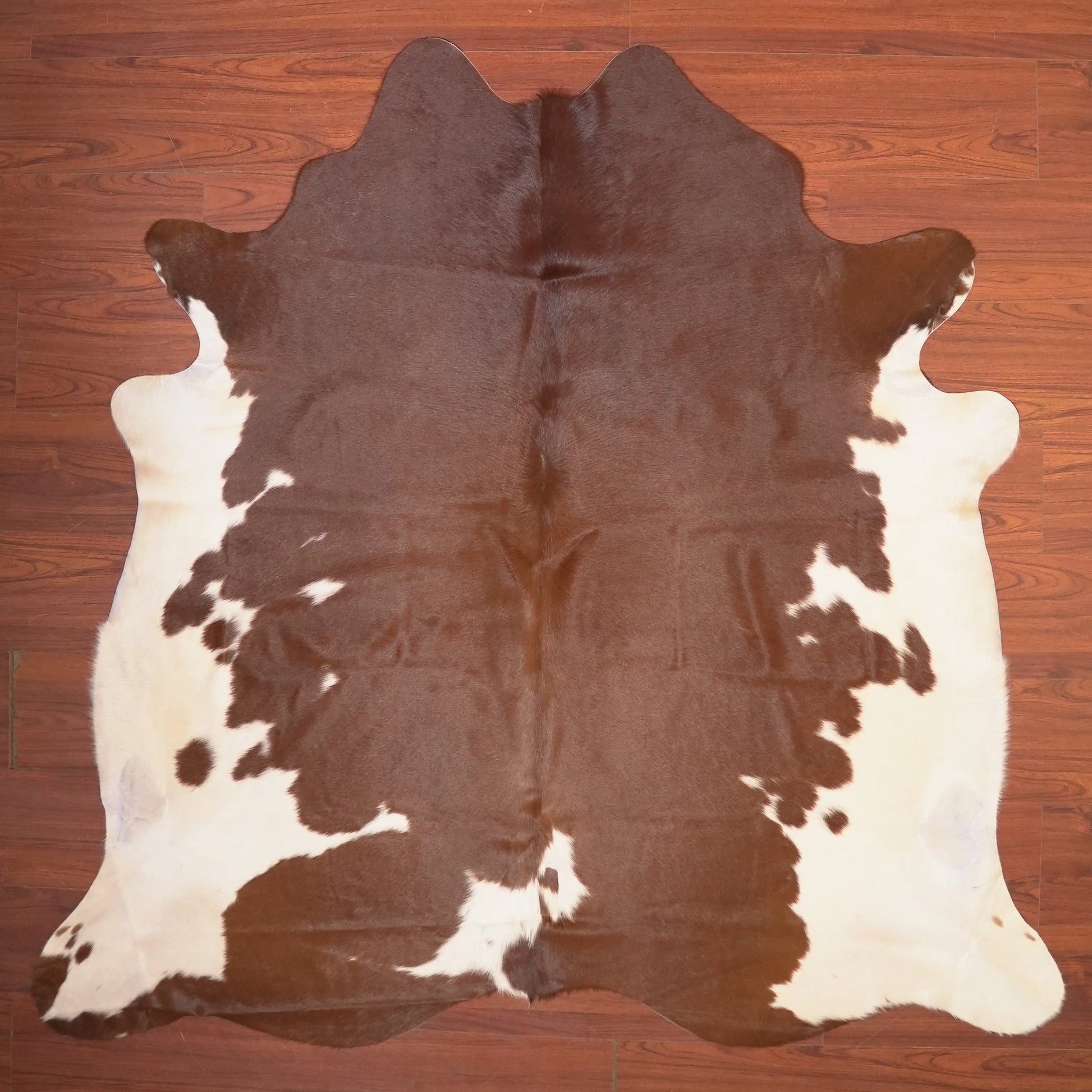 The Nguni Guy Nguni cowhide African decor Authentic cowhide Home decor Interior design Unique pattern Hand-selected Premium quality Natural beauty Exotic rug Genuine hide Statement piece Contemporary style Ethically sourced Sustainable decor Versatile accent Luxury rug Designer piece Modern aesthetic High-end craftsmanship Timeless elegance Designer home accents
