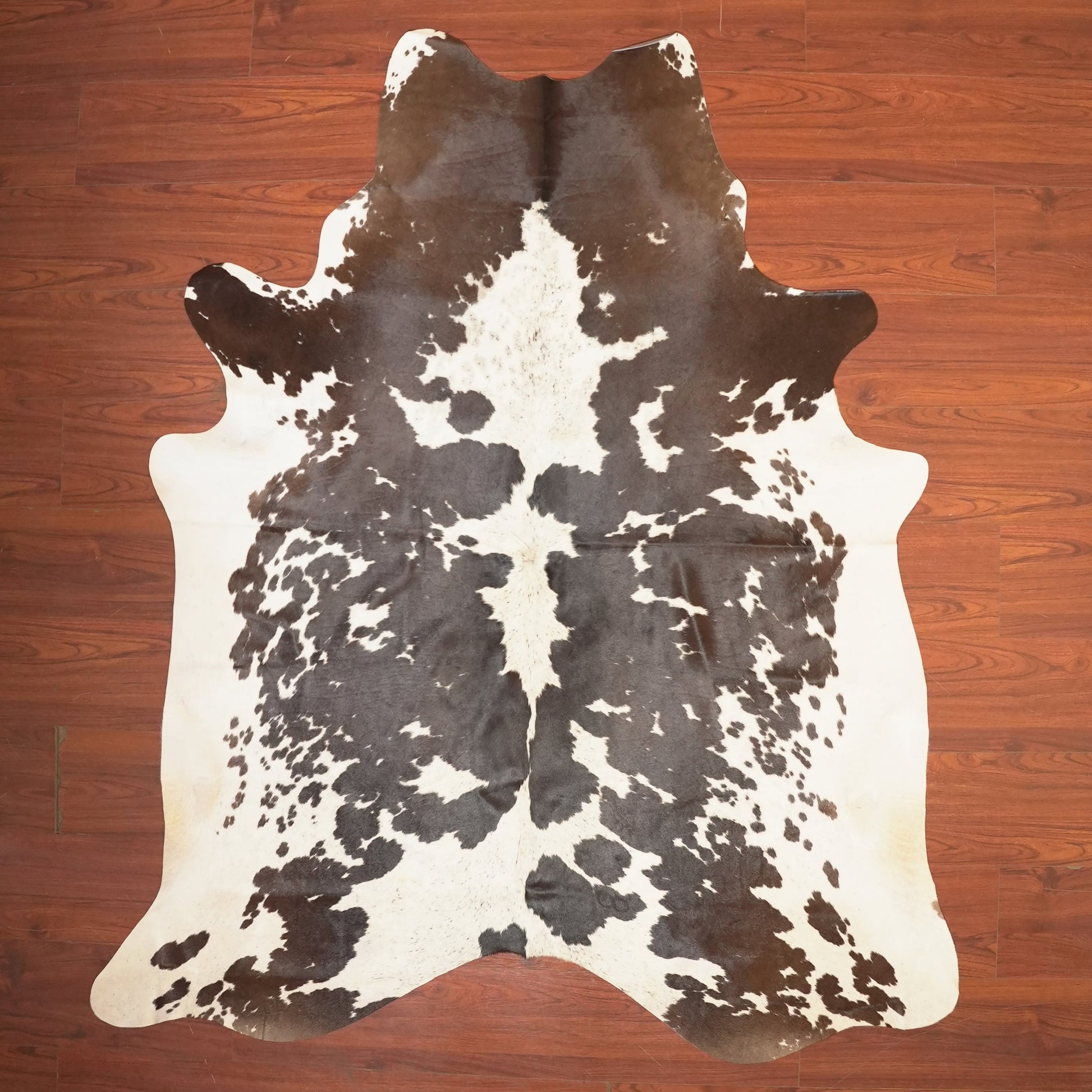 The Nguni Guy Nguni cowhide African decor Authentic cowhide Home decor Interior design Unique pattern Hand-selected Premium quality Natural beauty Exotic rug Genuine hide Statement piece Contemporary style Ethically sourced Sustainable decor Versatile accent Luxury rug Designer piece Modern aesthetic High-end craftsmanship Timeless elegance Designer home accents
