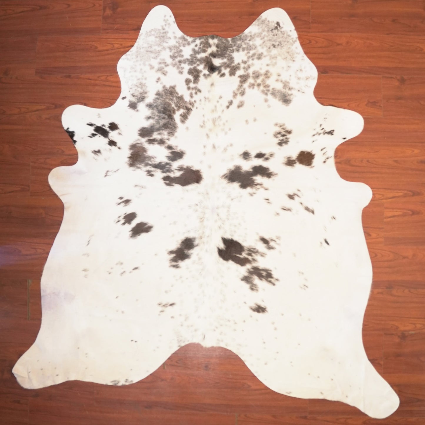 The Nguni Guy Nguni cowhide African decor Authentic cowhide Home decor Interior design Unique pattern Hand-selected Premium quality Natural beauty Exotic rug Genuine hide Statement piece Contemporary style Ethically sourced Sustainable decor Versatile accent Luxury rug Designer piece Modern aesthetic High-end craftsmanship Timeless elegance Designer home accents
