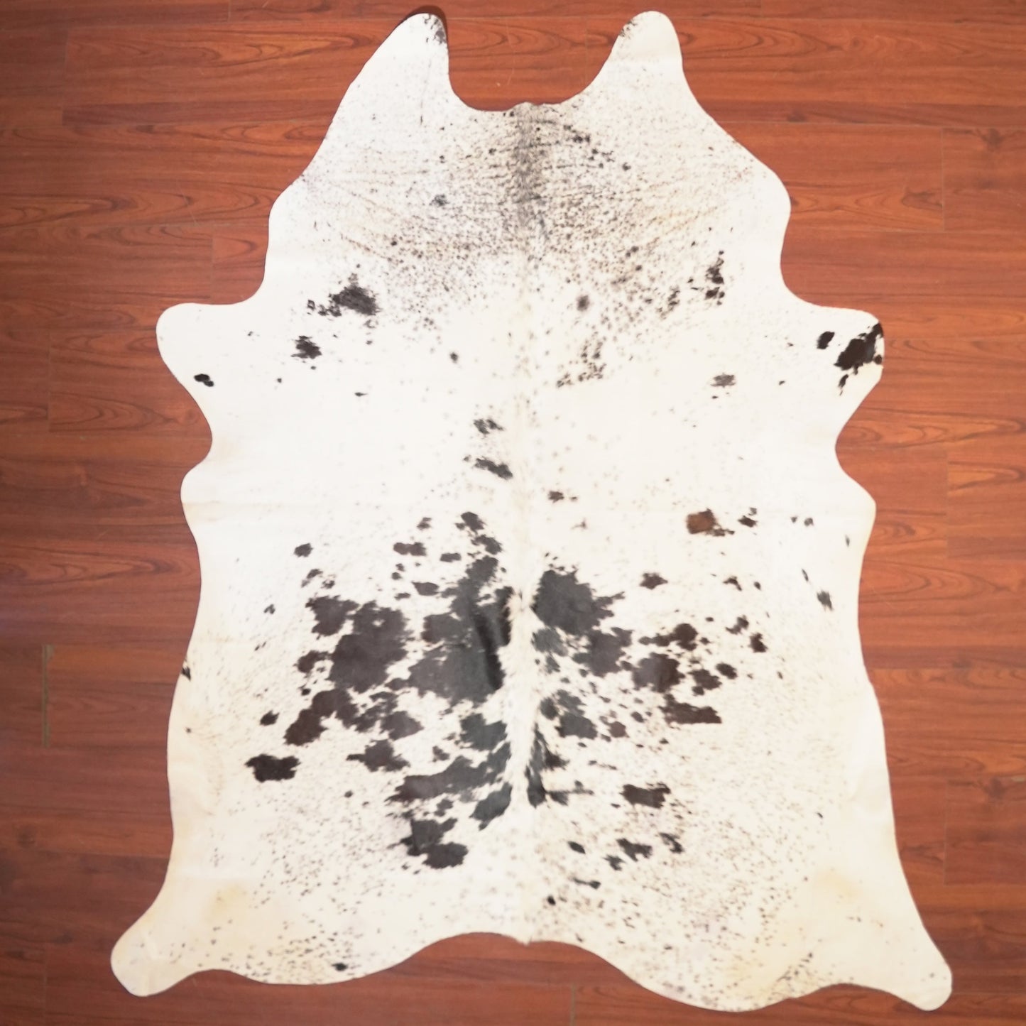 The Nguni Guy Nguni cowhide African decor Authentic cowhide Home decor Interior design Unique pattern Hand-selected Premium quality Natural beauty Exotic rug Genuine hide Statement piece Contemporary style Ethically sourced Sustainable decor Versatile accent Luxury rug Designer piece Modern aesthetic High-end craftsmanship Timeless elegance Designer home accents
