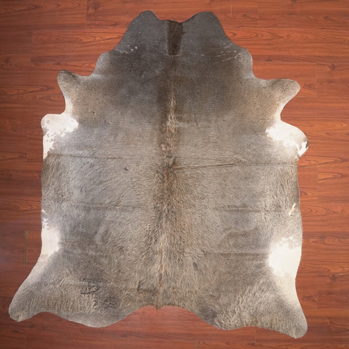 The Nguni Guy Nguni cowhide African decor Authentic cowhide Home decor Interior design Unique pattern Hand-selected Premium quality Natural beauty Exotic rug Genuine hide Statement piece Contemporary style Ethically sourced Sustainable decor Versatile accent Luxury rug Designer piece Modern aesthetic High-end craftsmanship Timeless elegance Designer home accents
