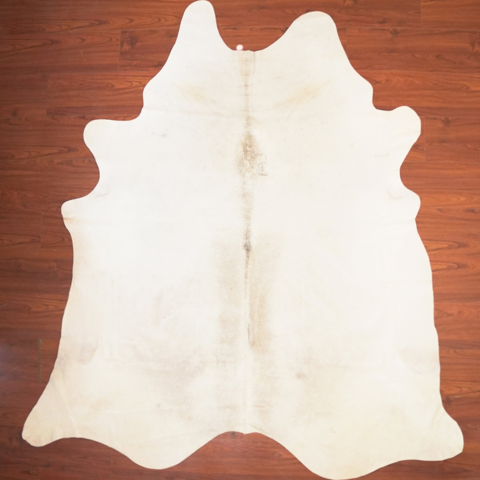 The Nguni Guy Nguni cowhide African decor Authentic cowhide Home decor Interior design Unique pattern Hand-selected Premium quality Natural beauty Exotic rug Genuine hide Statement piece Contemporary style Ethically sourced Sustainable decor Versatile accent Luxury rug Designer piece Modern aesthetic High-end craftsmanship Timeless elegance Designer home accents