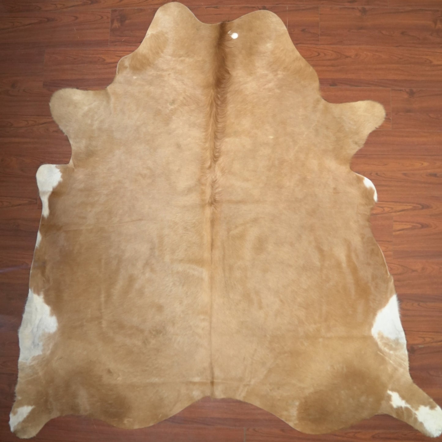 The Nguni Guy Nguni cowhide African decor Authentic cowhide Home decor Interior design Unique pattern Hand-selected Premium quality Natural beauty Exotic rug Genuine hide Statement piece Contemporary style Ethically sourced Sustainable decor Versatile accent Luxury rug Designer piece Modern aesthetic High-end craftsmanship Timeless elegance Designer home accents
