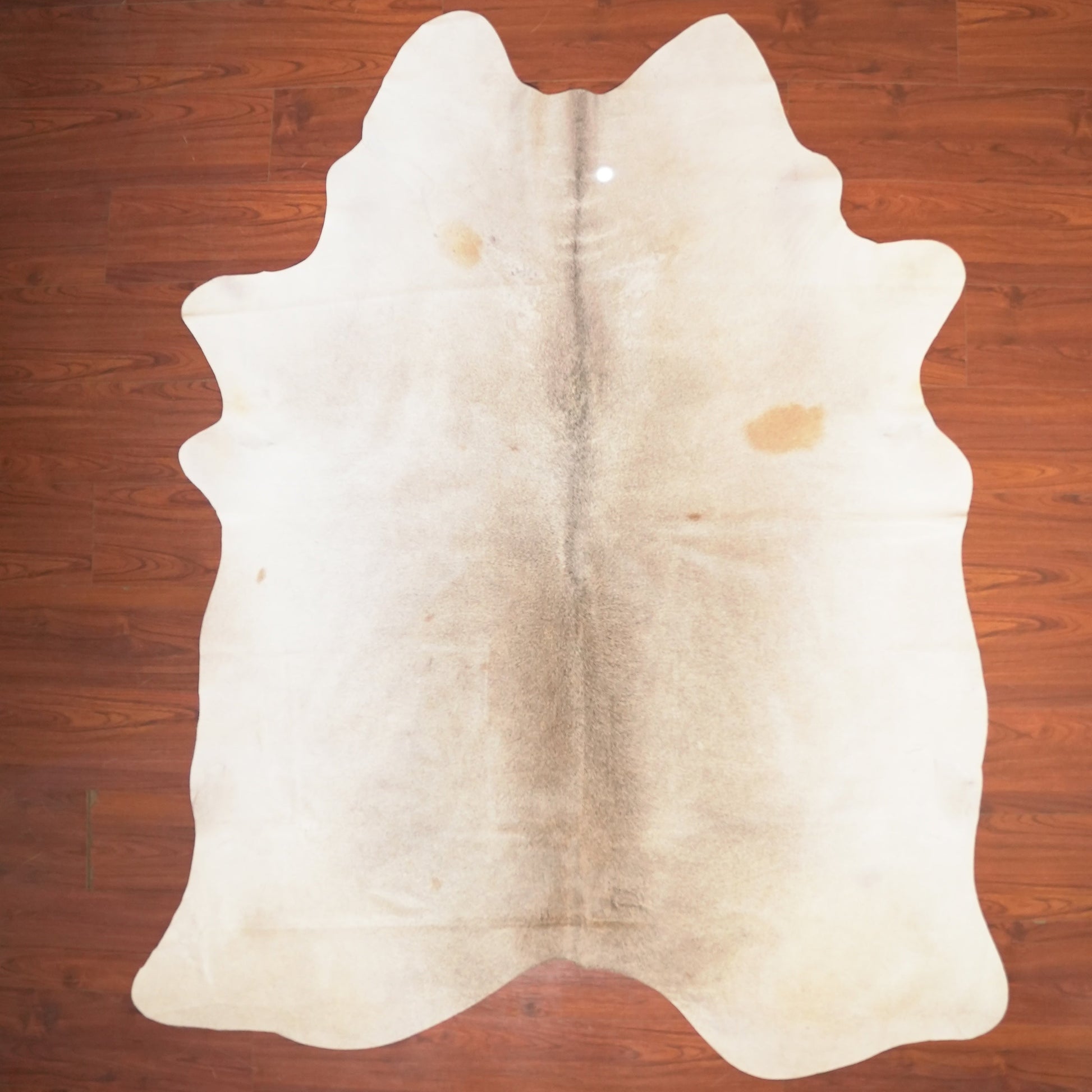The Nguni Guy Nguni cowhide African decor Authentic cowhide Home decor Interior design Unique pattern Hand-selected Premium quality Natural beauty Exotic rug Genuine hide Statement piece Contemporary style Ethically sourced Sustainable decor Versatile accent Luxury rug Designer piece Modern aesthetic High-end craftsmanship Timeless elegance Designer home accents
