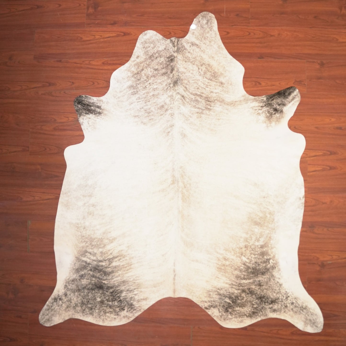 The Nguni Guy Nguni cowhide African decor Authentic cowhide Home decor Interior design Unique pattern Hand-selected Premium quality Natural beauty Exotic rug Genuine hide Statement piece Contemporary style Ethically sourced Sustainable decor Versatile accent Luxury rug Designer piece Modern aesthetic High-end craftsmanship Timeless elegance Designer home accents
