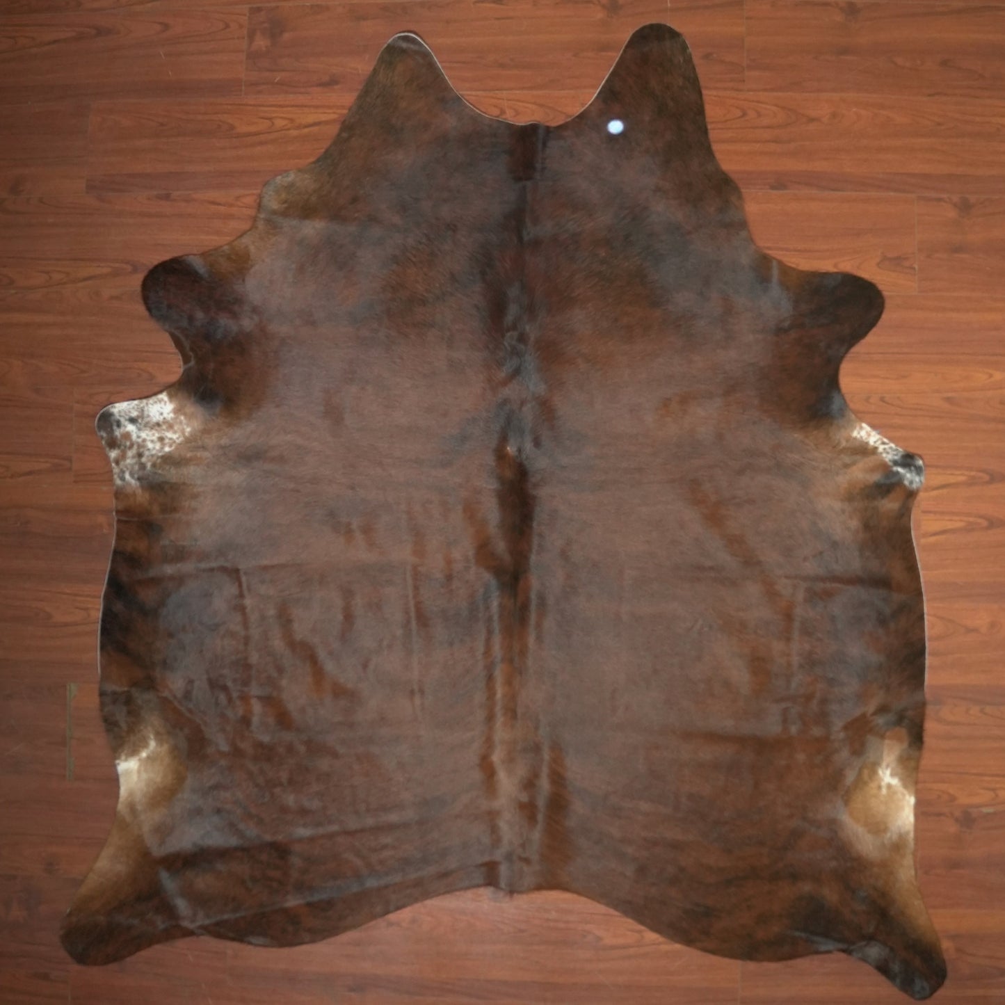 The Nguni Guy Nguni cowhide African decor Authentic cowhide Home decor Interior design Unique pattern Hand-selected Premium quality Natural beauty Exotic rug Genuine hide Statement piece Contemporary style Ethically sourced Sustainable decor Versatile accent Luxury rug Designer piece Modern aesthetic High-end craftsmanship Timeless elegance Designer home accents
