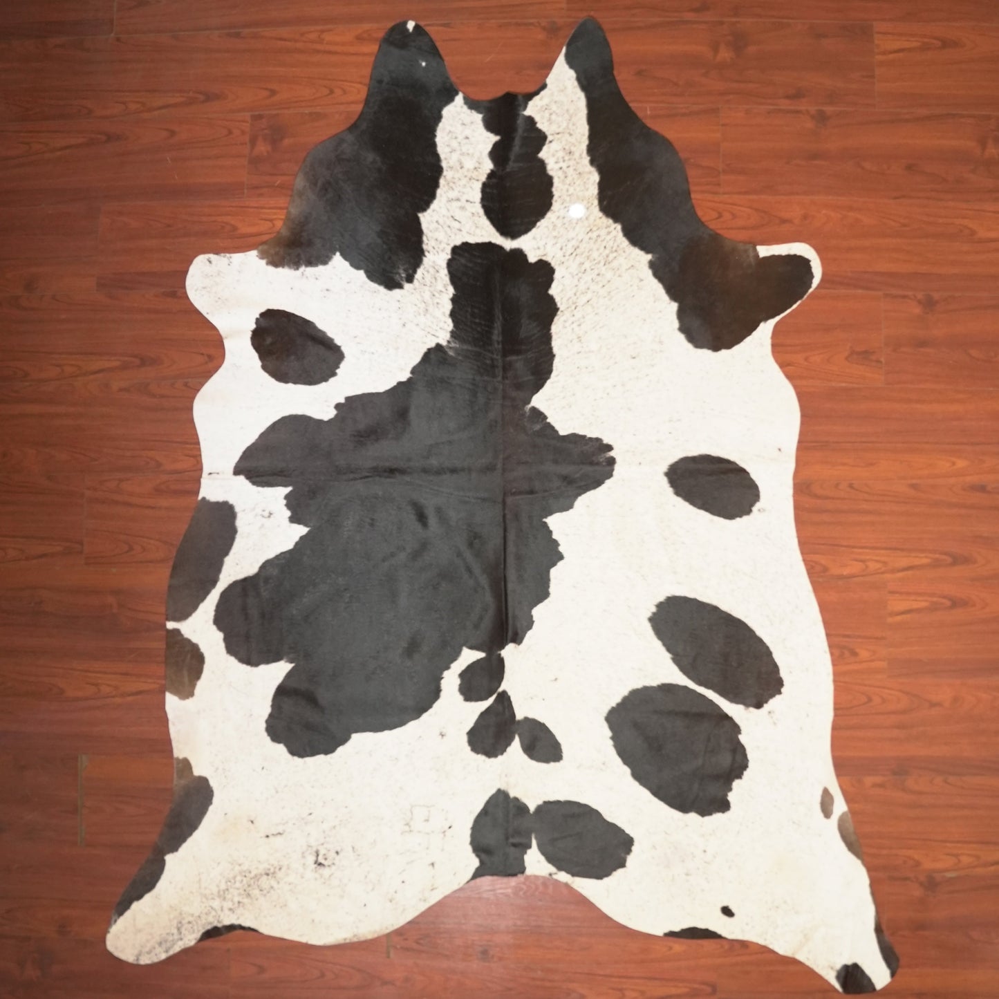 The Nguni Guy Nguni cowhide African decor Authentic cowhide Home decor Interior design Unique pattern Hand-selected Premium quality Natural beauty Exotic rug Genuine hide Statement piece Contemporary style Ethically sourced Sustainable decor Versatile accent Luxury rug Designer piece Modern aesthetic High-end craftsmanship Timeless elegance Designer home accents
