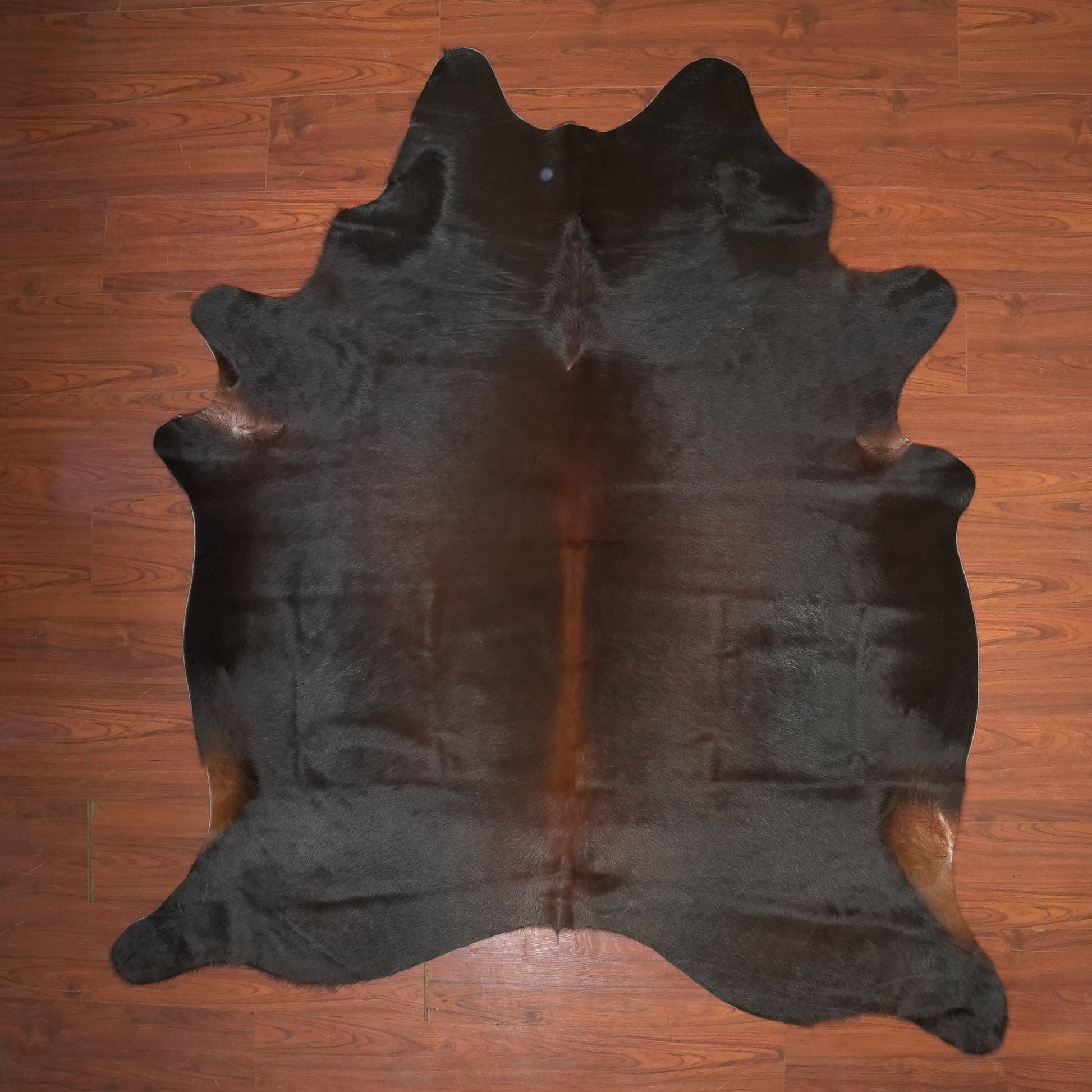 The Nguni Guy Nguni cowhide African decor Authentic cowhide Home decor Interior design Unique pattern Hand-selected Premium quality Natural beauty Exotic rug Genuine hide Statement piece Contemporary style Ethically sourced Sustainable decor Versatile accent Luxury rug Designer piece Modern aesthetic High-end craftsmanship Timeless elegance Designer home accents
