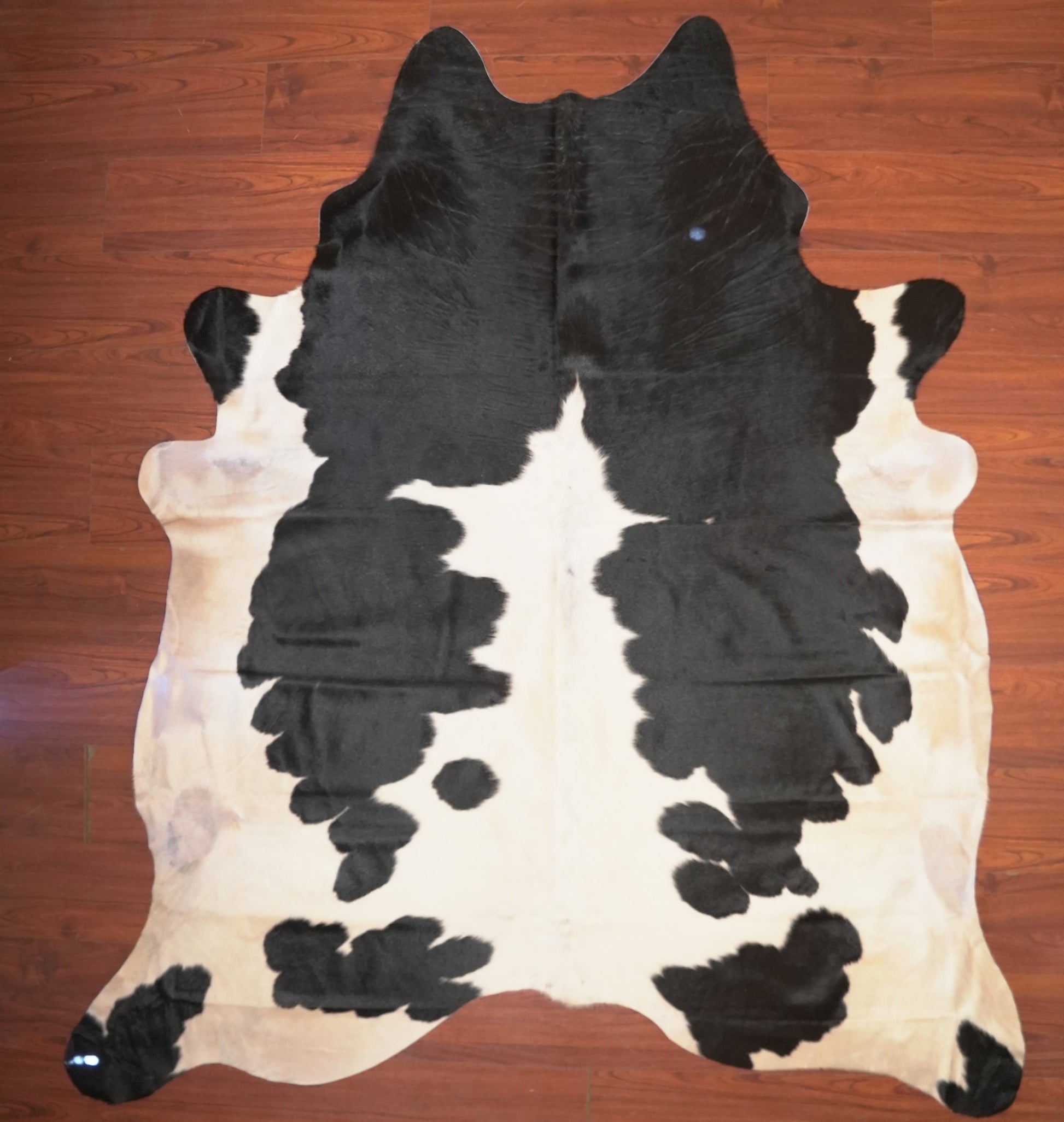 The Nguni Guy Nguni cowhide African decor Authentic cowhide Home decor Interior design Unique pattern Hand-selected Premium quality Natural beauty Exotic rug Genuine hide Statement piece Contemporary style Ethically sourced Sustainable decor Versatile accent Luxury rug Designer piece Modern aesthetic High-end craftsmanship Timeless elegance Designer home accents
