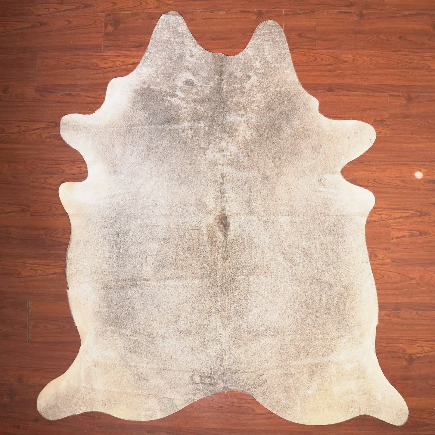 The Nguni Guy Nguni cowhide African decor Authentic cowhide Home decor Interior design Unique pattern Hand-selected Premium quality Natural beauty Exotic rug Genuine hide Statement piece Contemporary style Ethically sourced Sustainable decor Versatile accent Luxury rug Designer piece Modern aesthetic High-end craftsmanship Timeless elegance Designer home accents
