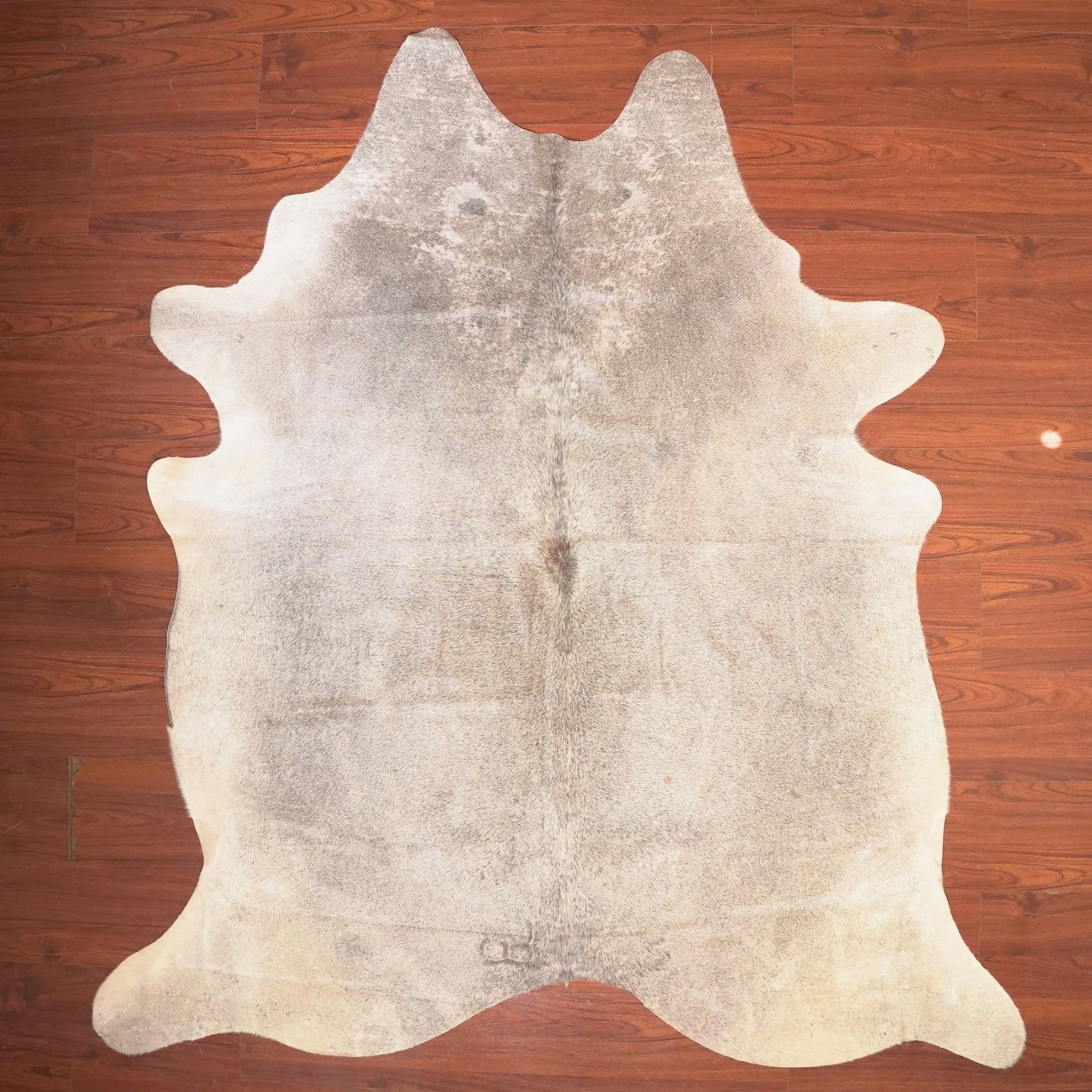 The Nguni Guy Nguni cowhide African decor Authentic cowhide Home decor Interior design Unique pattern Hand-selected Premium quality Natural beauty Exotic rug Genuine hide Statement piece Contemporary style Ethically sourced Sustainable decor Versatile accent Luxury rug Designer piece Modern aesthetic High-end craftsmanship Timeless elegance Designer home accents
