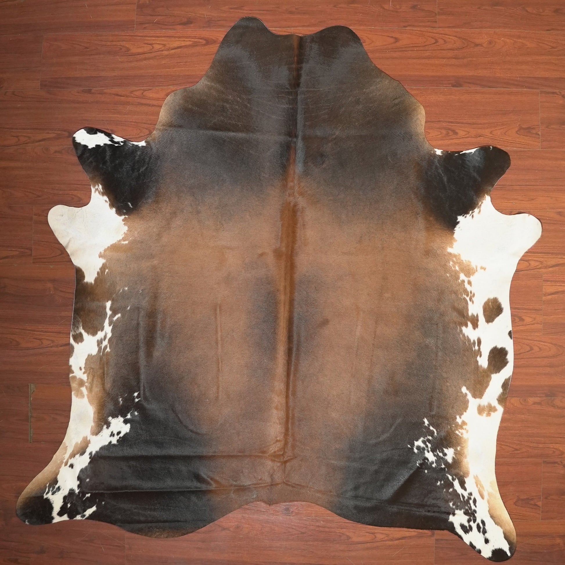 The Nguni Guy Nguni cowhide African decor Authentic cowhide Home decor Interior design Unique pattern Hand-selected Premium quality Natural beauty Exotic rug Genuine hide Statement piece Contemporary style Ethically sourced Sustainable decor Versatile accent Luxury rug Designer piece Modern aesthetic High-end craftsmanship Timeless elegance Designer home accents
