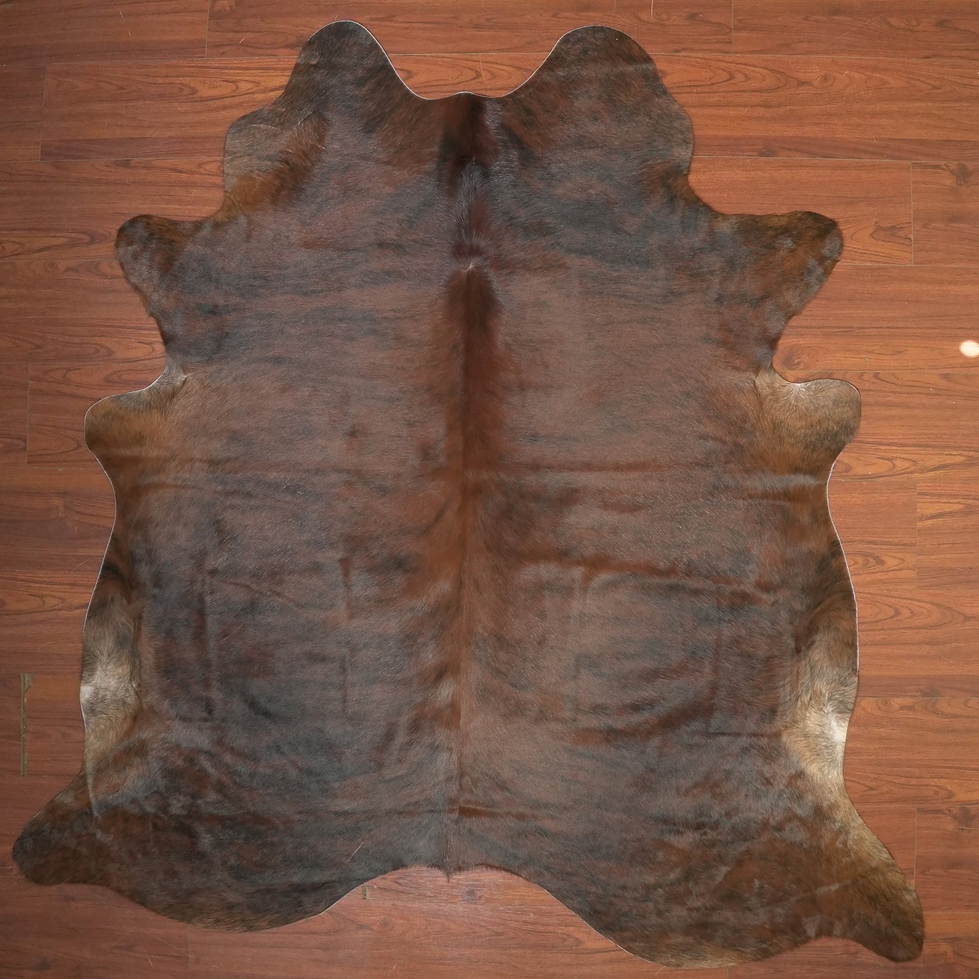 The Nguni Guy Nguni cowhide African decor Authentic cowhide Home decor Interior design Unique pattern Hand-selected Premium quality Natural beauty Exotic rug Genuine hide Statement piece Contemporary style Ethically sourced Sustainable decor Versatile accent Luxury rug Designer piece Modern aesthetic High-end craftsmanship Timeless elegance Designer home accents
