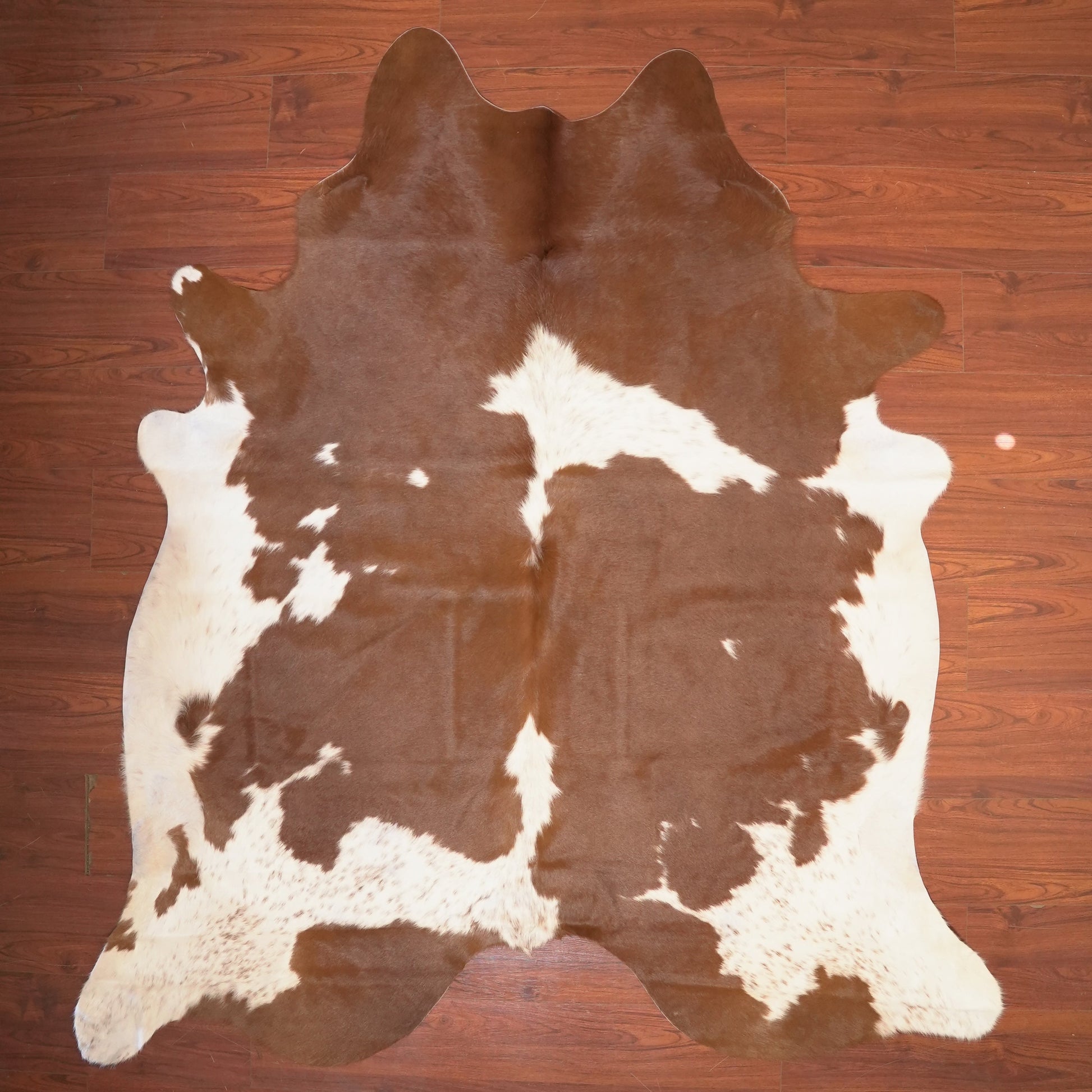 The Nguni Guy Nguni cowhide African decor Authentic cowhide Home decor Interior design Unique pattern Hand-selected Premium quality Natural beauty Exotic rug Genuine hide Statement piece Contemporary style Ethically sourced Sustainable decor Versatile accent Luxury rug Designer piece Modern aesthetic High-end craftsmanship Timeless elegance Designer home accents
