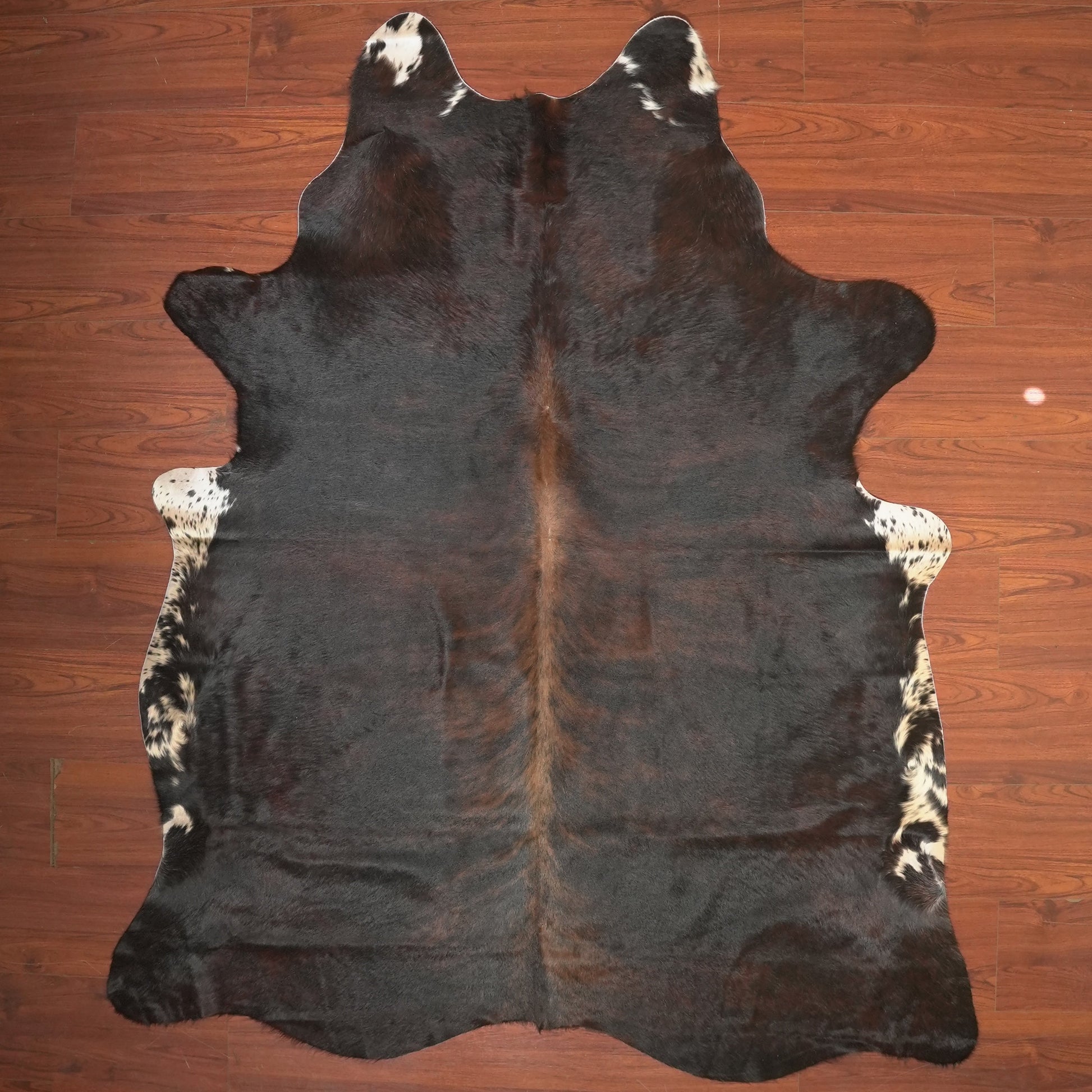 The Nguni Guy Nguni cowhide African decor Authentic cowhide Home decor Interior design Unique pattern Hand-selected Premium quality Natural beauty Exotic rug Genuine hide Statement piece Contemporary style Ethically sourced Sustainable decor Versatile accent Luxury rug Designer piece Modern aesthetic High-end craftsmanship Timeless elegance Designer home accents
