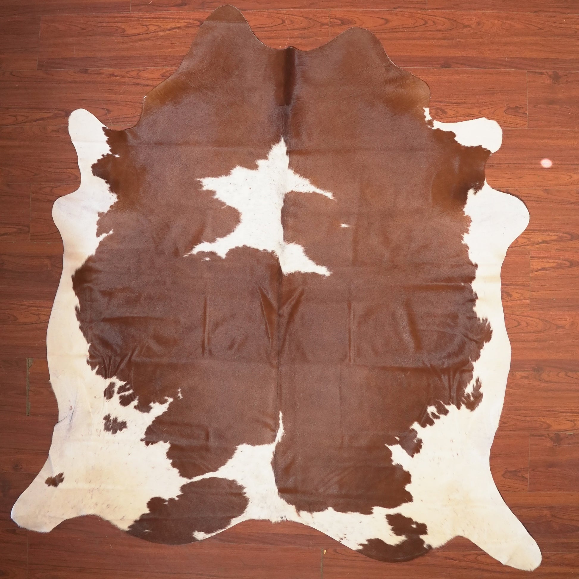 The Nguni Guy Nguni cowhide African decor Authentic cowhide Home decor Interior design Unique pattern Hand-selected Premium quality Natural beauty Exotic rug Genuine hide Statement piece Contemporary style Ethically sourced Sustainable decor Versatile accent Luxury rug Designer piece Modern aesthetic High-end craftsmanship Timeless elegance Designer home accents
