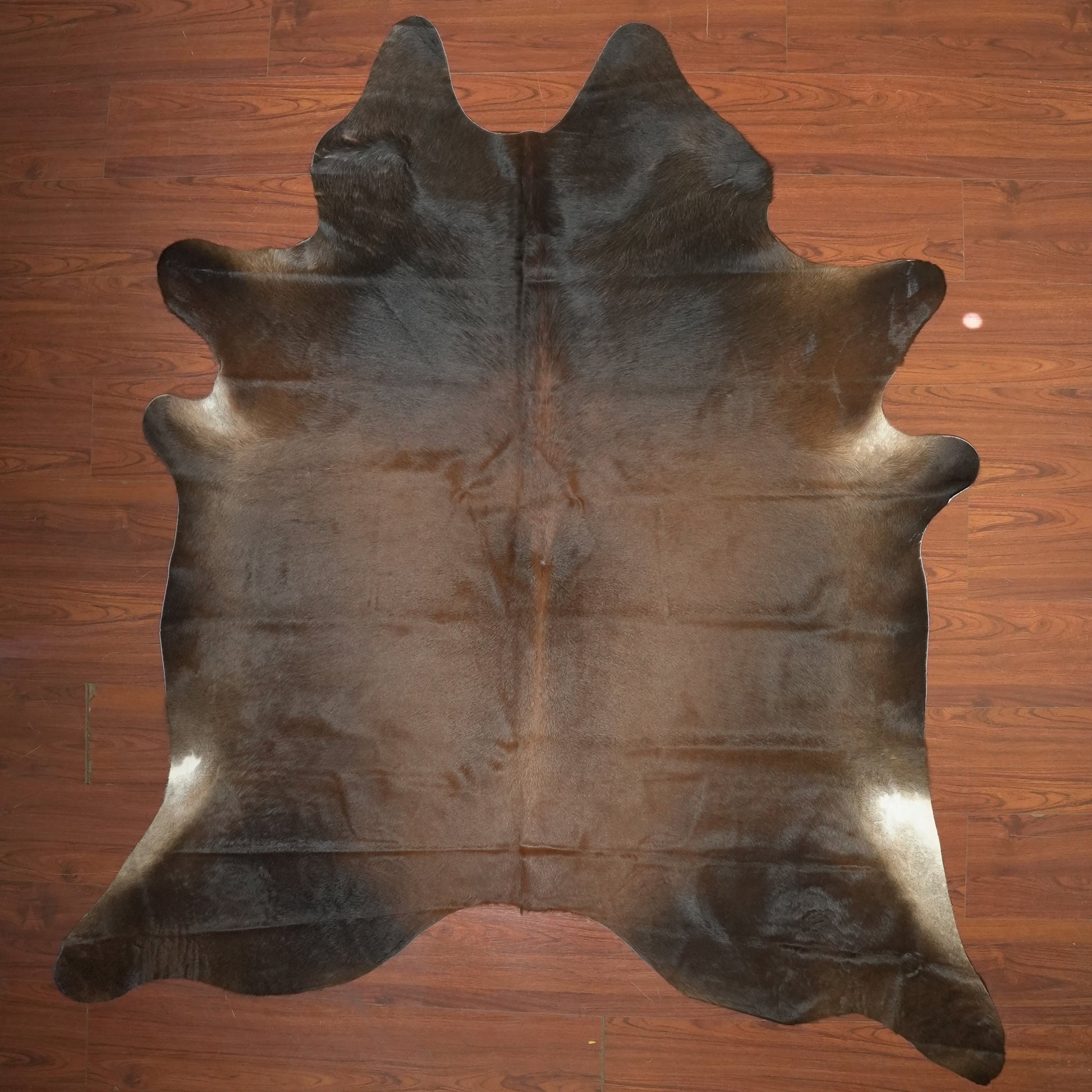 The Nguni Guy Nguni cowhide African decor Authentic cowhide Home decor Interior design Unique pattern Hand-selected Premium quality Natural beauty Exotic rug Genuine hide Statement piece Contemporary style Ethically sourced Sustainable decor Versatile accent Luxury rug Designer piece Modern aesthetic High-end craftsmanship Timeless elegance Designer home accents
