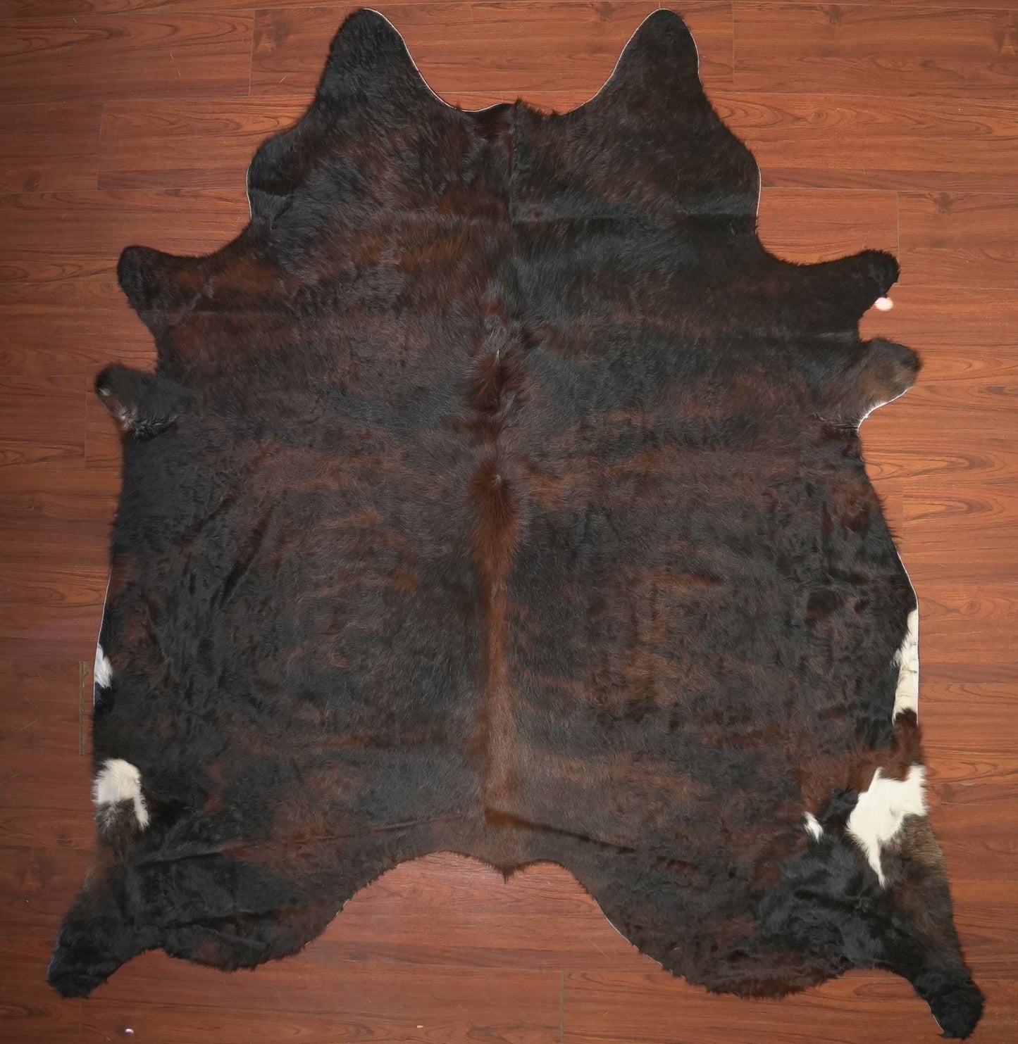 The Nguni Guy Nguni cowhide African decor Authentic cowhide Home decor Interior design Unique pattern Hand-selected Premium quality Natural beauty Exotic rug Genuine hide Statement piece Contemporary style Ethically sourced Sustainable decor Versatile accent Luxury rug Designer piece Modern aesthetic High-end craftsmanship Timeless elegance Designer home accents

