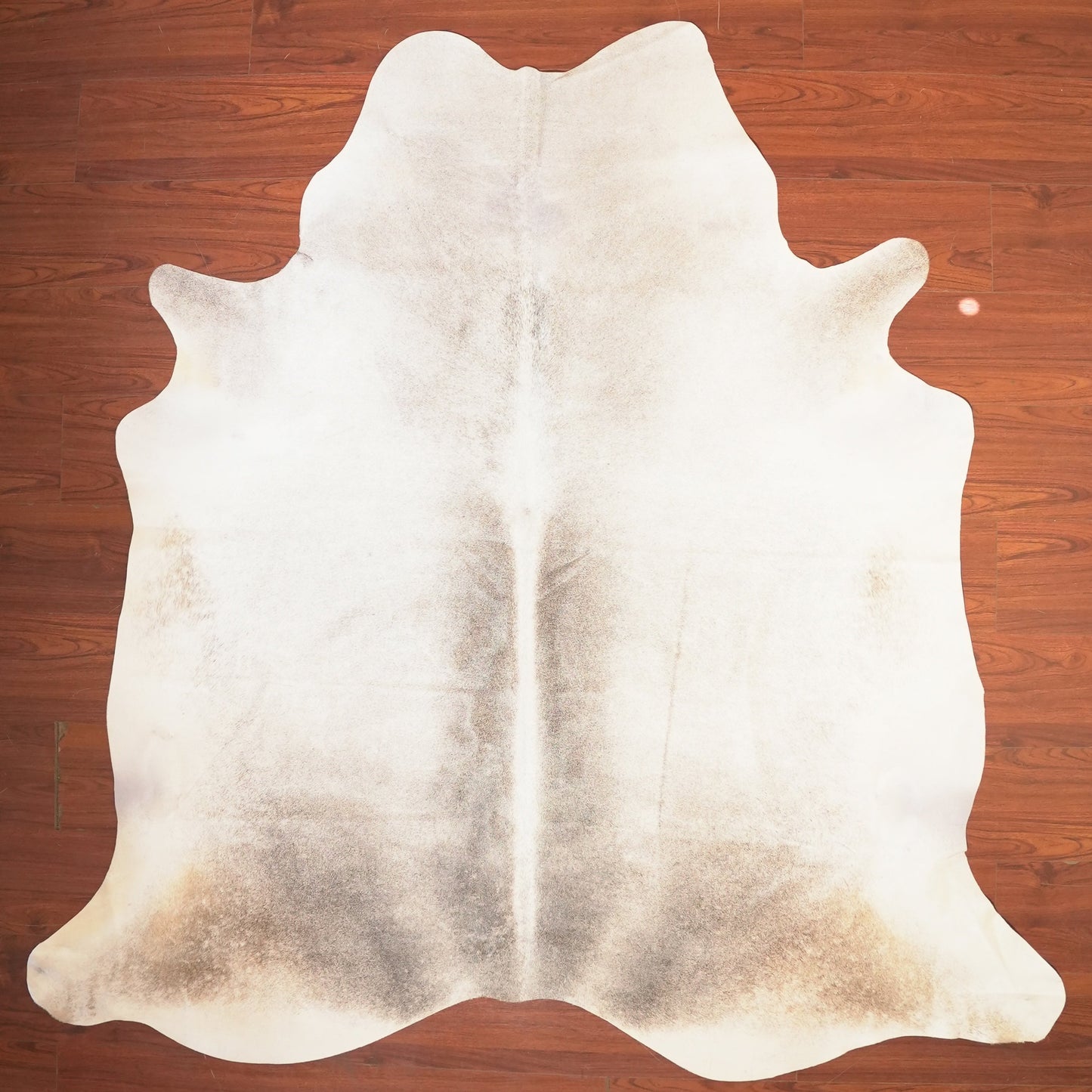 The Nguni Guy Nguni cowhide African decor Authentic cowhide Home decor Interior design Unique pattern Hand-selected Premium quality Natural beauty Exotic rug Genuine hide Statement piece Contemporary style Ethically sourced Sustainable decor Versatile accent Luxury rug Designer piece Modern aesthetic High-end craftsmanship Timeless elegance Designer home accents
