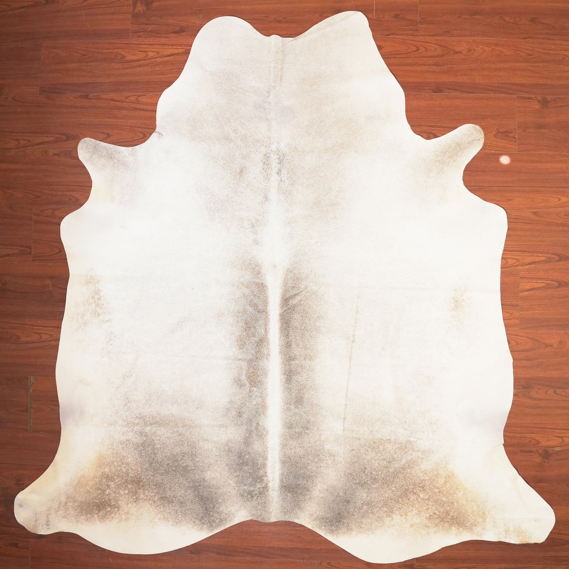 The Nguni Guy Nguni cowhide African decor Authentic cowhide Home decor Interior design Unique pattern Hand-selected Premium quality Natural beauty Exotic rug Genuine hide Statement piece Contemporary style Ethically sourced Sustainable decor Versatile accent Luxury rug Designer piece Modern aesthetic High-end craftsmanship Timeless elegance Designer home accents
