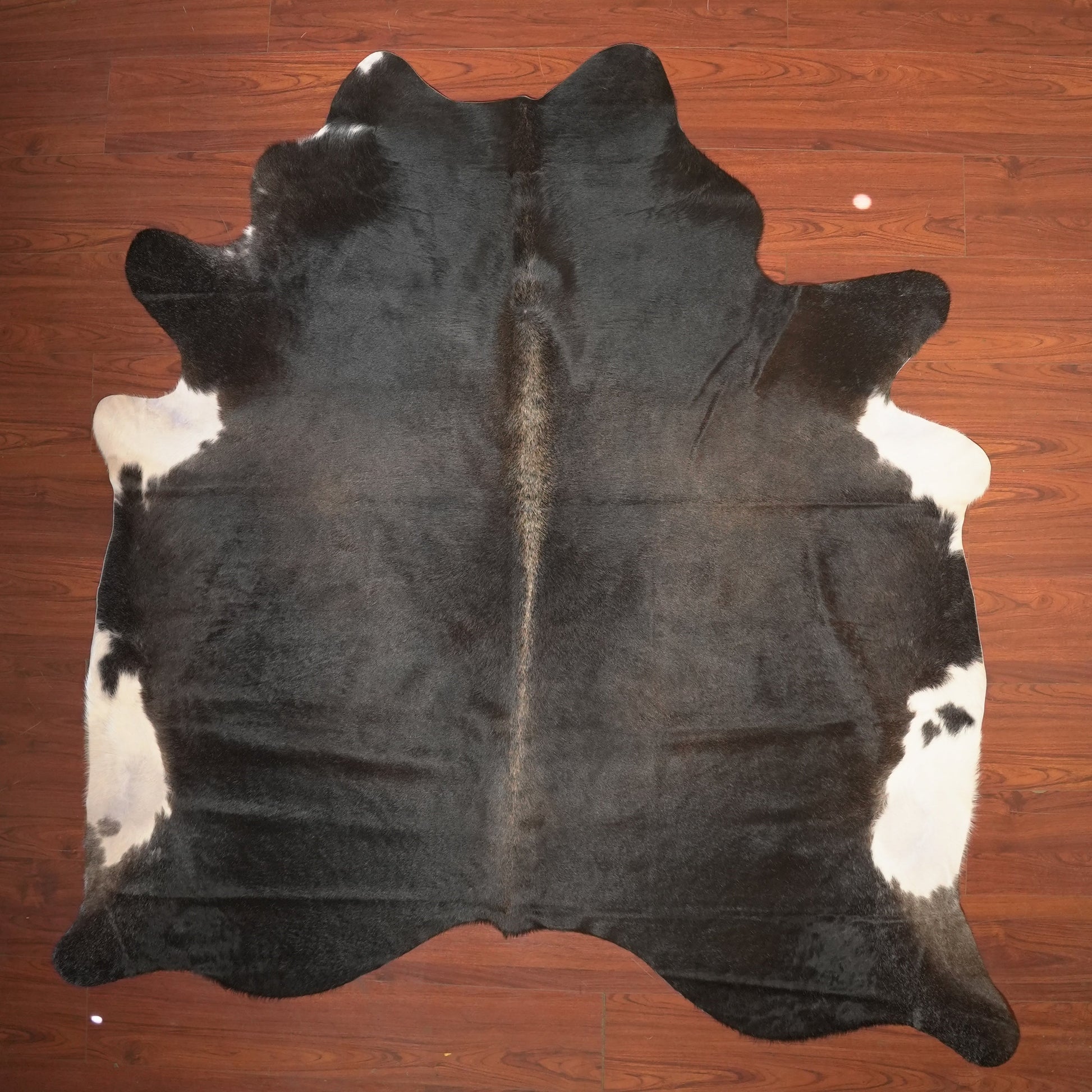 The Nguni Guy Nguni cowhide African decor Authentic cowhide Home decor Interior design Unique pattern Hand-selected Premium quality Natural beauty Exotic rug Genuine hide Statement piece Contemporary style Ethically sourced Sustainable decor Versatile accent Luxury rug Designer piece Modern aesthetic High-end craftsmanship Timeless elegance Designer home accents
