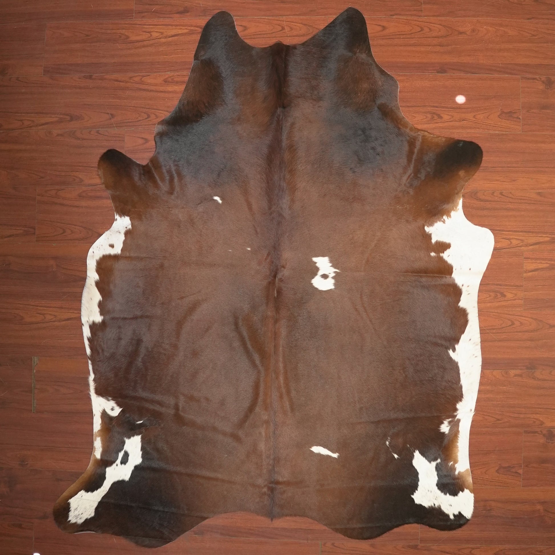 The Nguni Guy Nguni cowhide African decor Authentic cowhide Home decor Interior design Unique pattern Hand-selected Premium quality Natural beauty Exotic rug Genuine hide Statement piece Contemporary style Ethically sourced Sustainable decor Versatile accent Luxury rug Designer piece Modern aesthetic High-end craftsmanship Timeless elegance Designer home accents