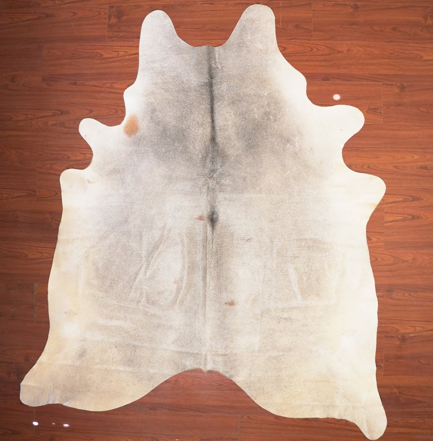 The Nguni Guy Nguni cowhide African decor Authentic cowhide Home decor Interior design Unique pattern Hand-selected Premium quality Natural beauty Exotic rug Genuine hide Statement piece Contemporary style Ethically sourced Sustainable decor Versatile accent Luxury rug Designer piece Modern aesthetic High-end craftsmanship Timeless elegance Designer home accents
